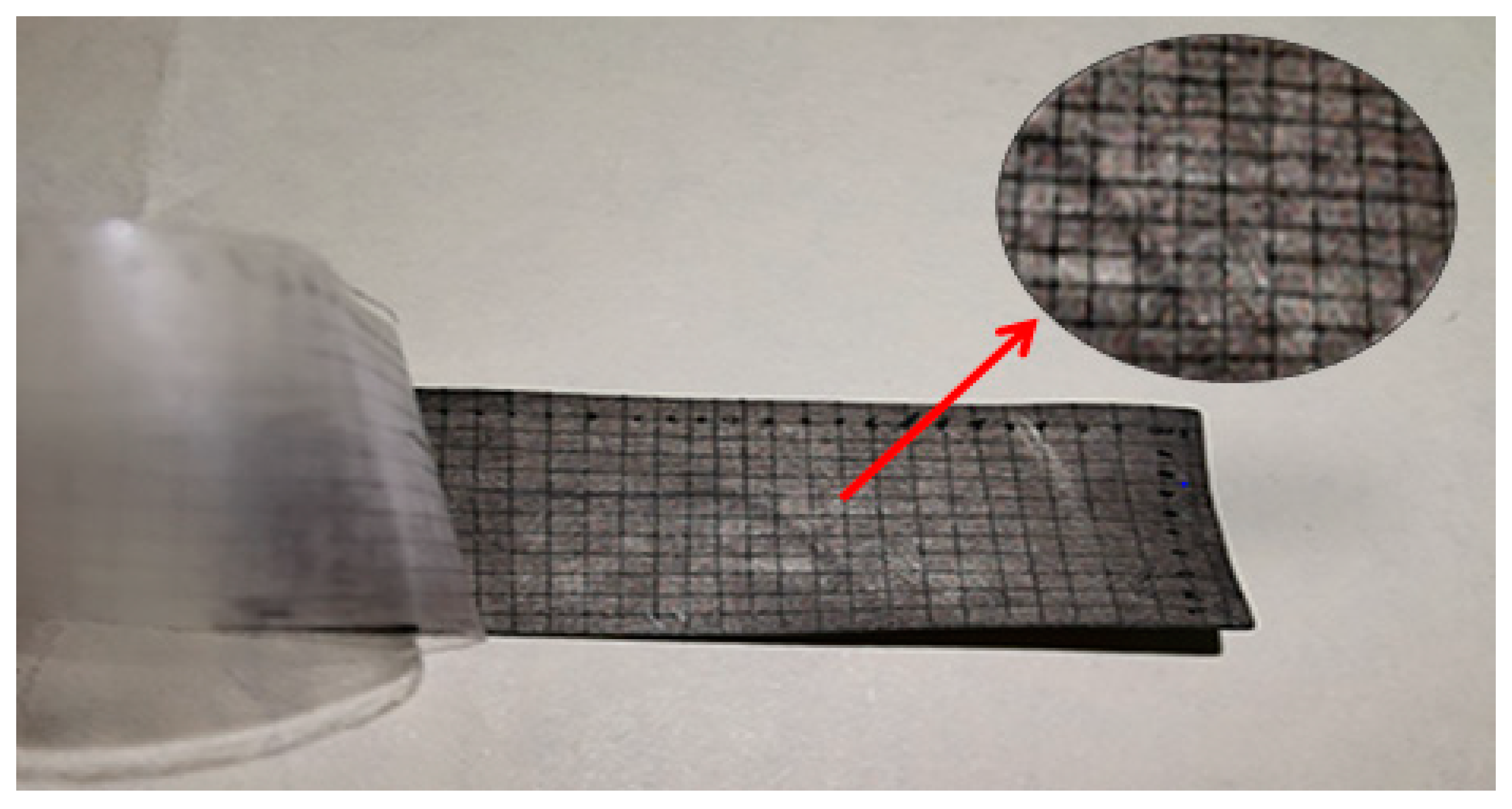 Polymers 12 00460 g004