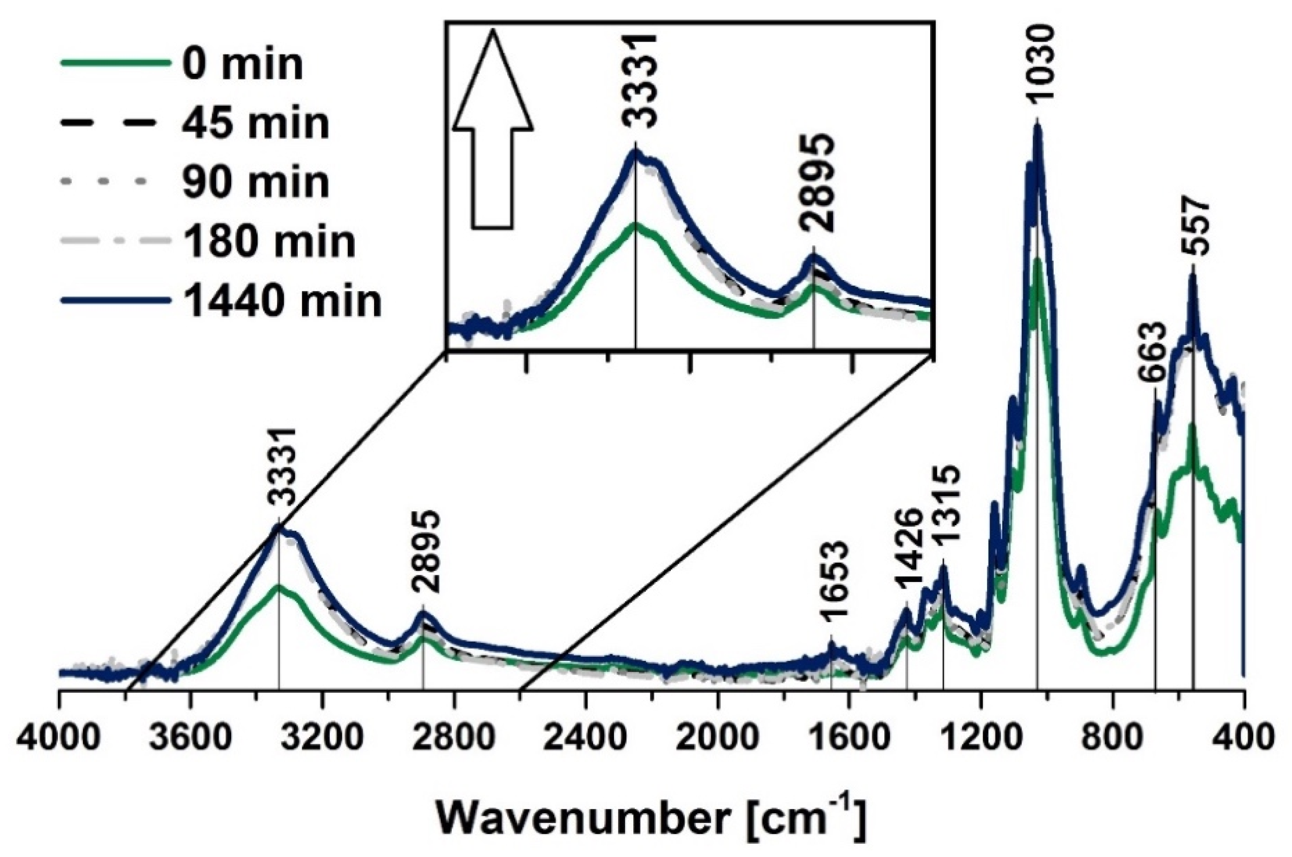 Polymers 12 00484 g002 Polymers 12 00484 g002