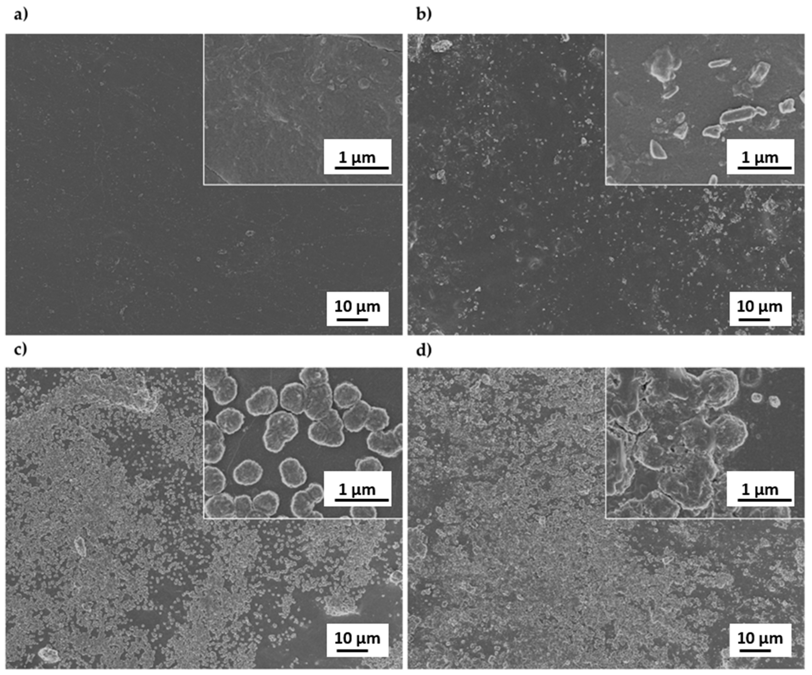 Polymers 12 00524 g005