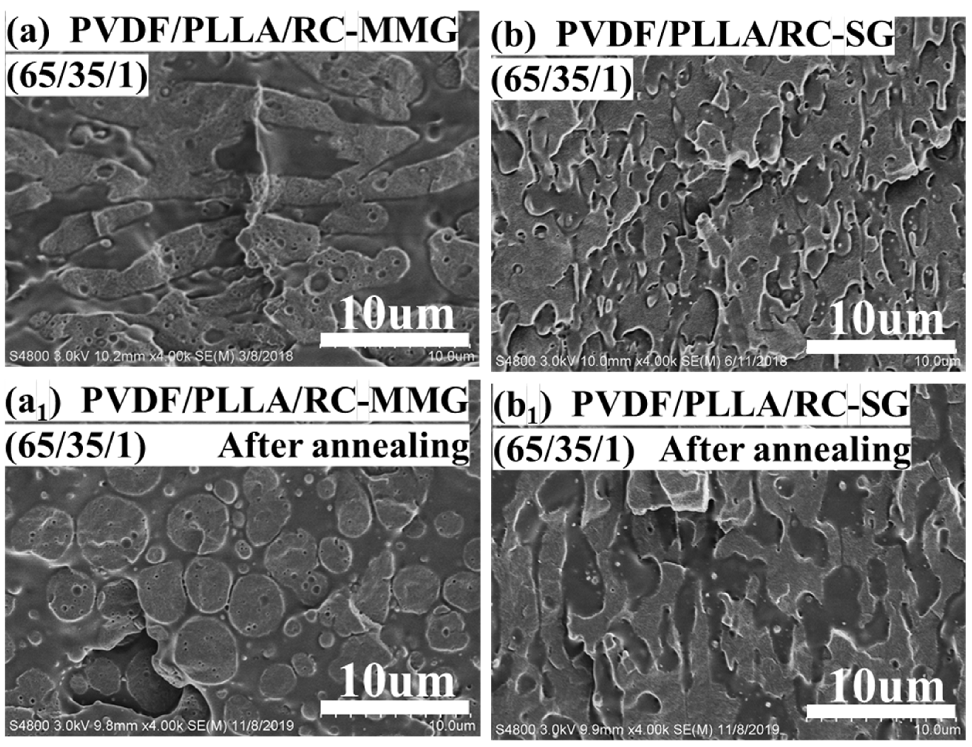 Polymers 12 00526 g004