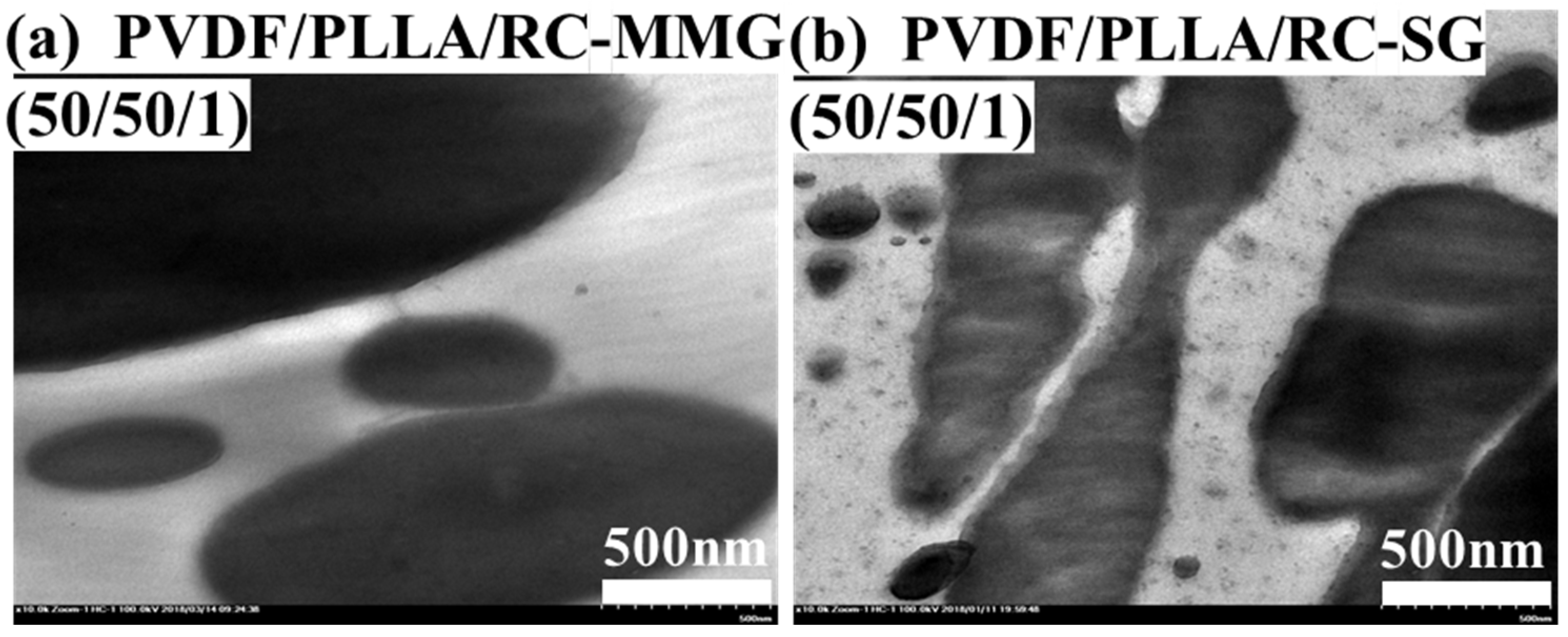 Polymers 12 00526 g007