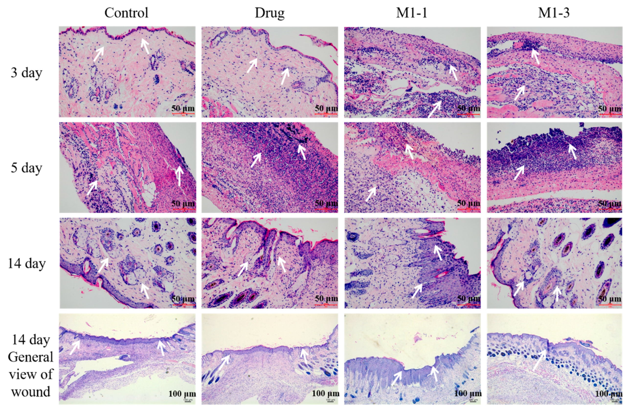 Polymers 12 00535 g007