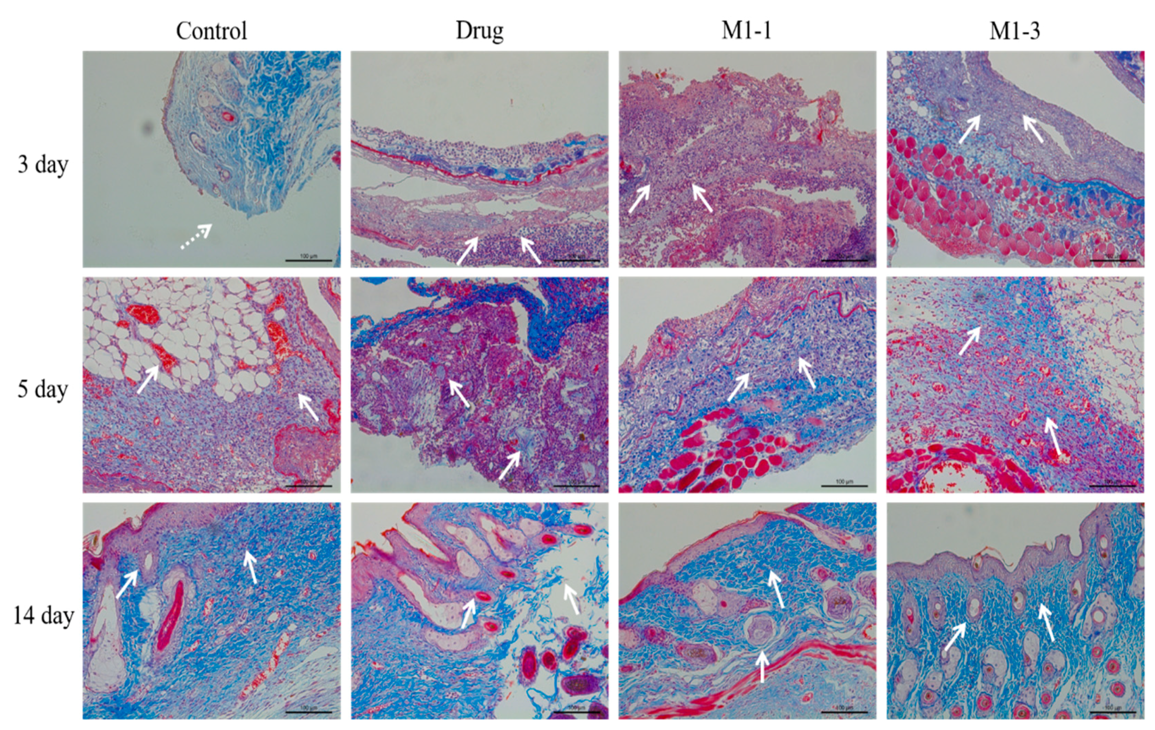 Polymers 12 00535 g008