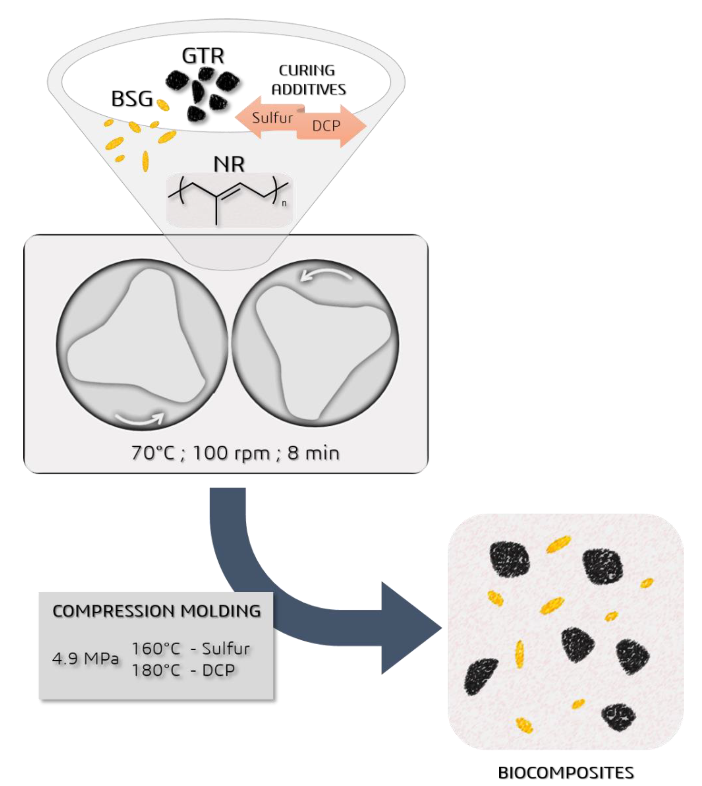 Polymers 12 00545 g001