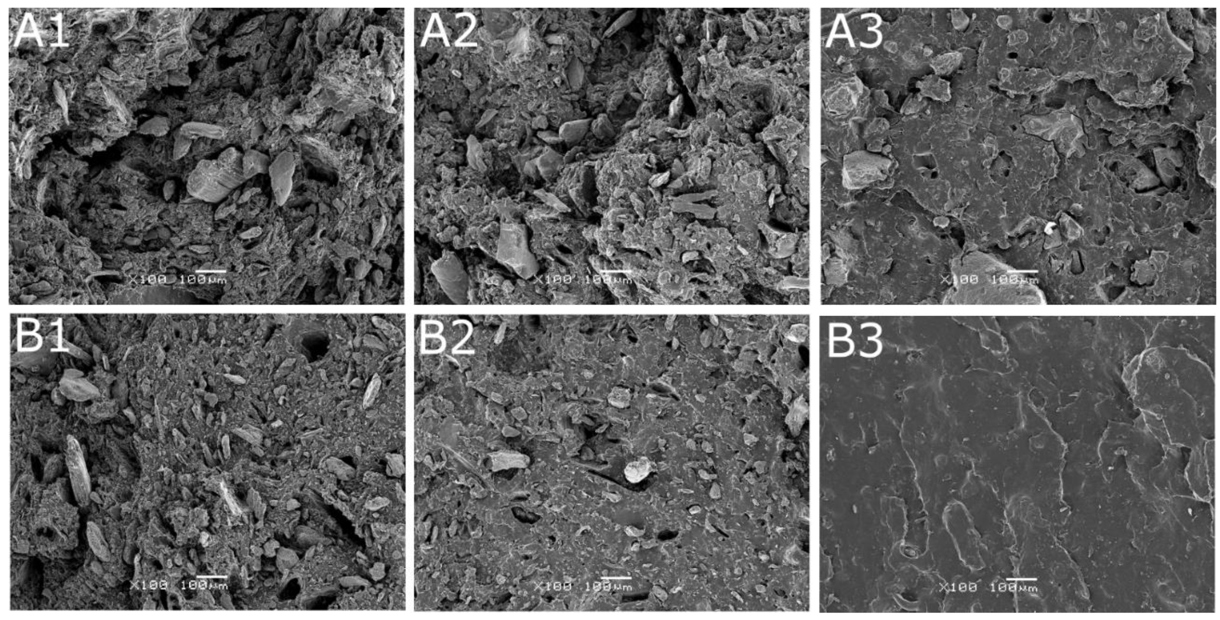 Polymers 12 00545 g006