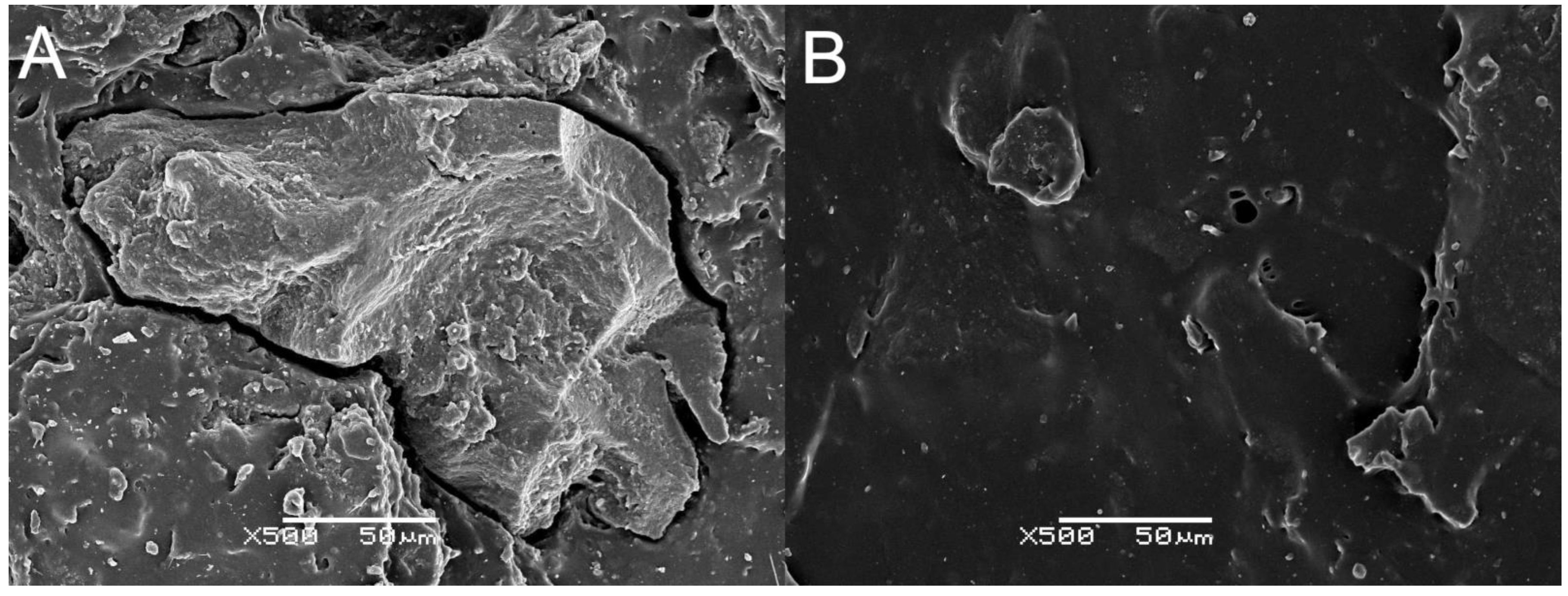 Polymers 12 00545 g007