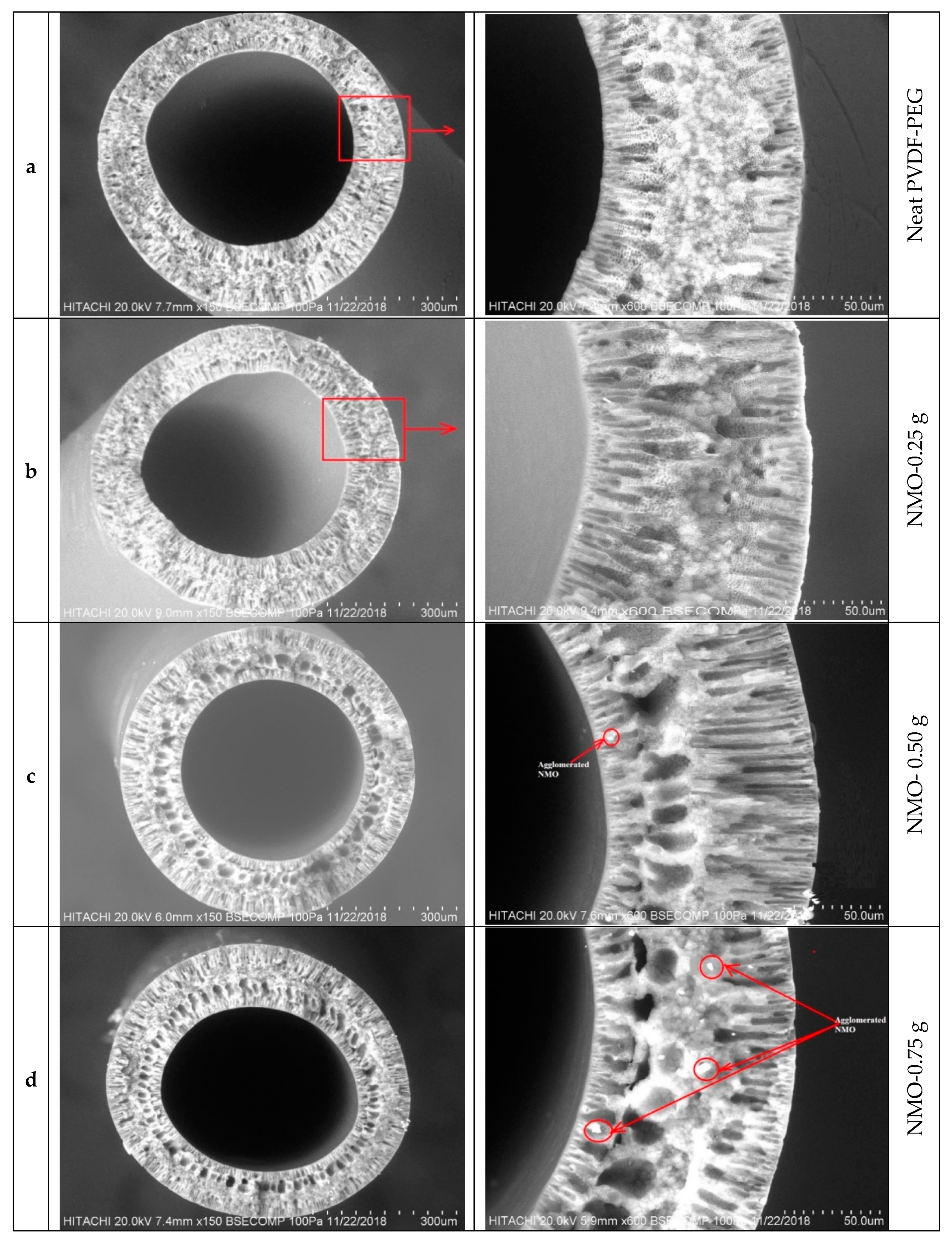 Polymers 12 00549 g001a