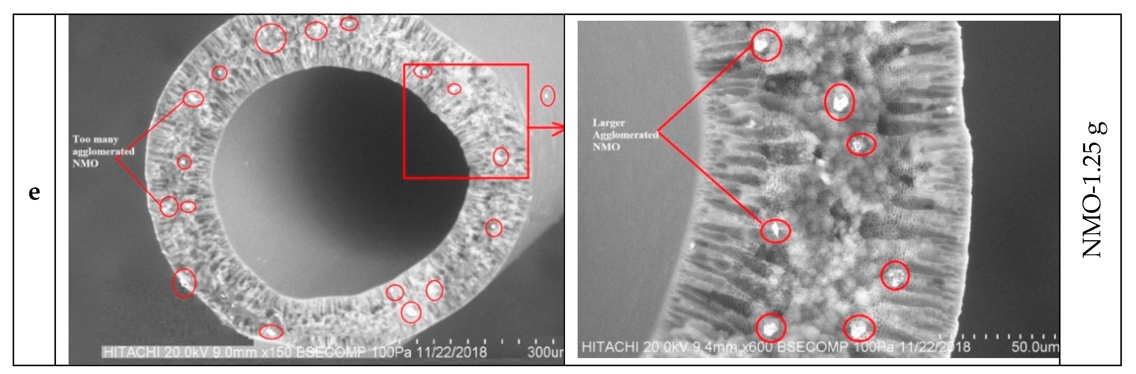 Polymers 12 00549 g001b