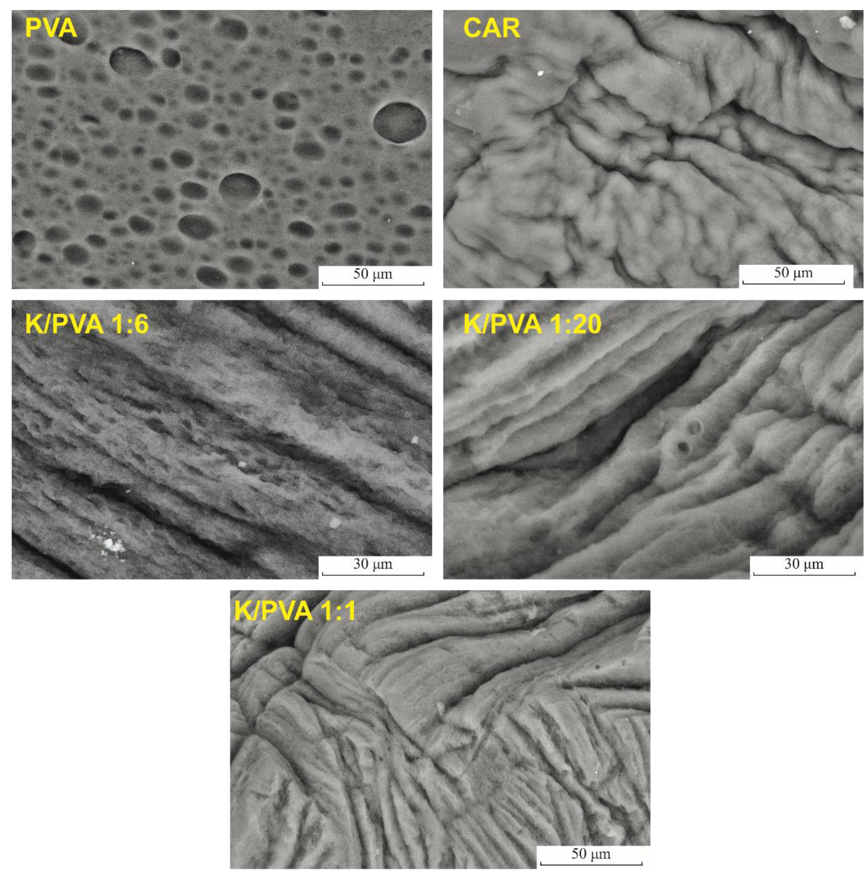 Polymers 12 00560 g004
