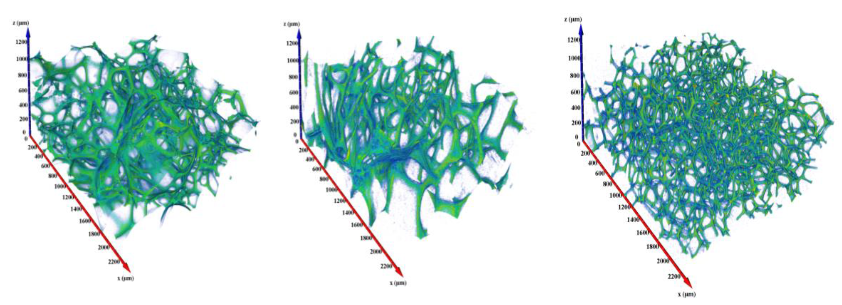 Polymers 12 00564 g002 Polymers 12 00564 g002