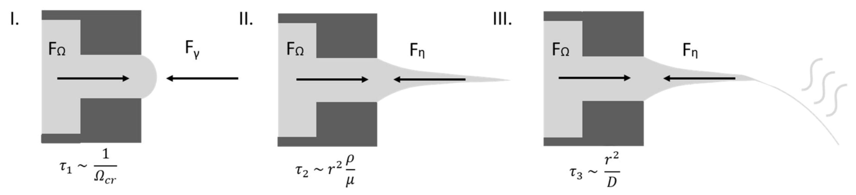 Polymers 12 00575 g001