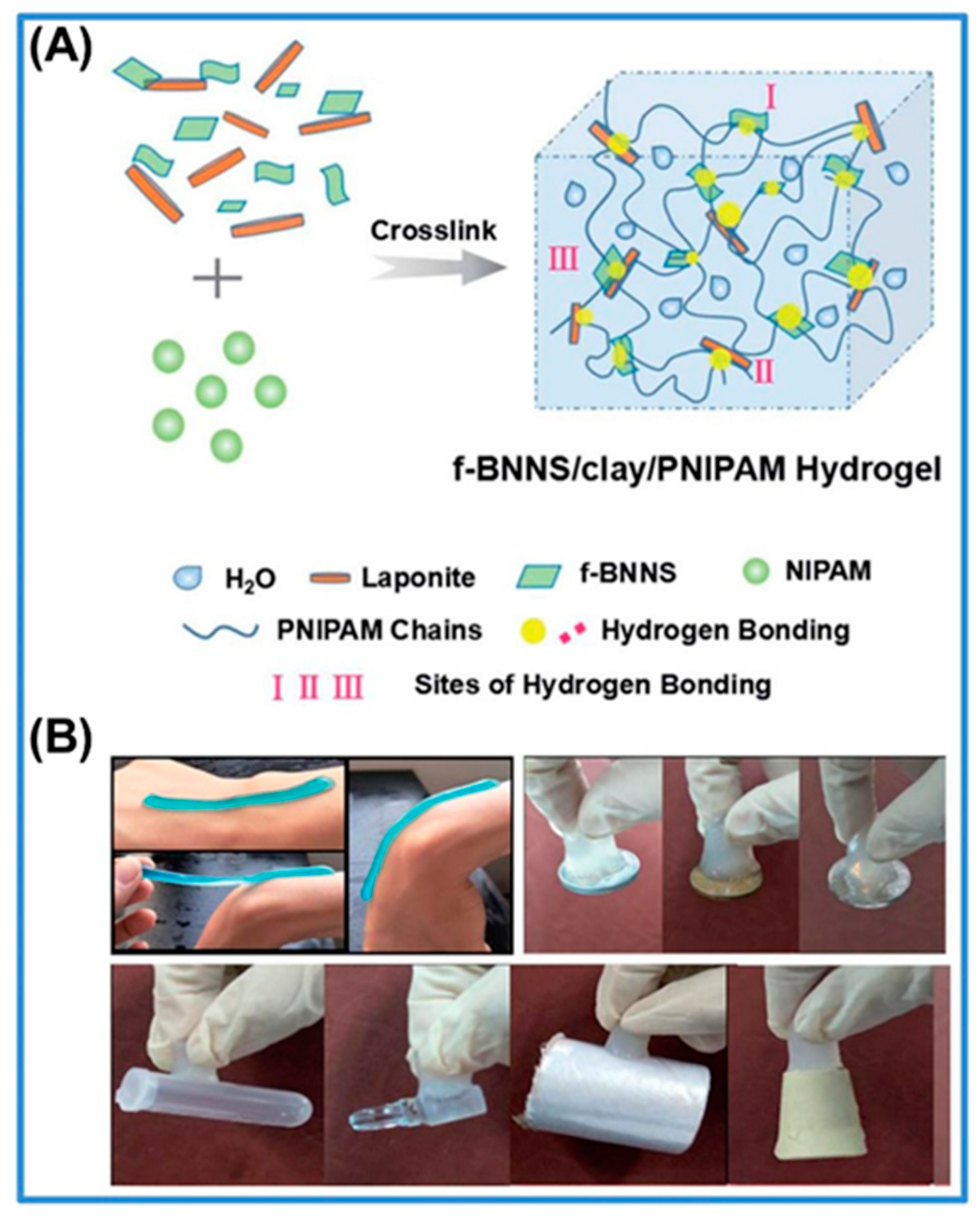 Gelation Mechanism of Poly(N-isopropylacrylamide)−Clay Nanocomposite Gels