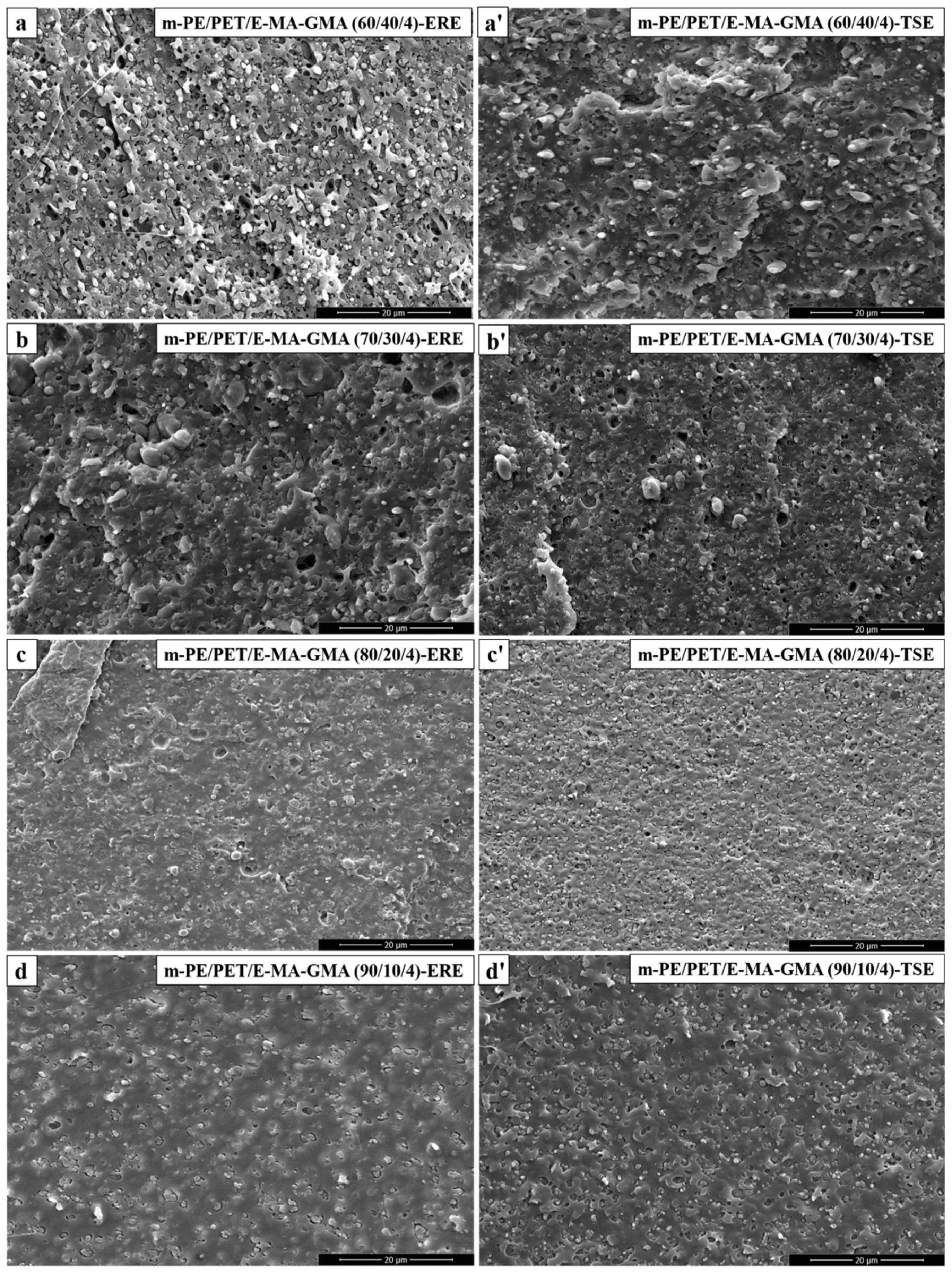 Polymers 12 00585 g004 Polymers 12 00585 g004