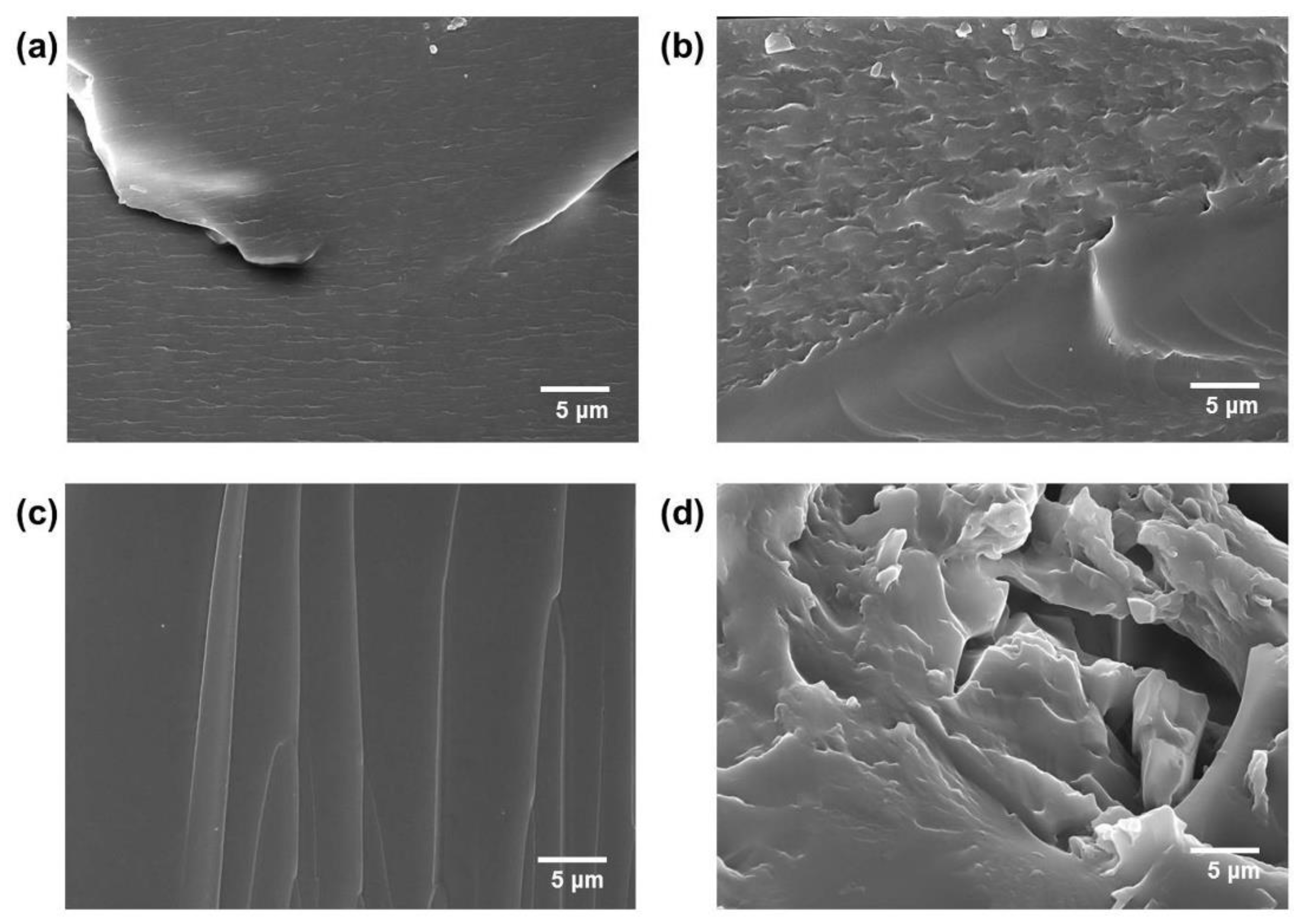 Polymers 12 00603 g005 Polymers 12 00603 g005