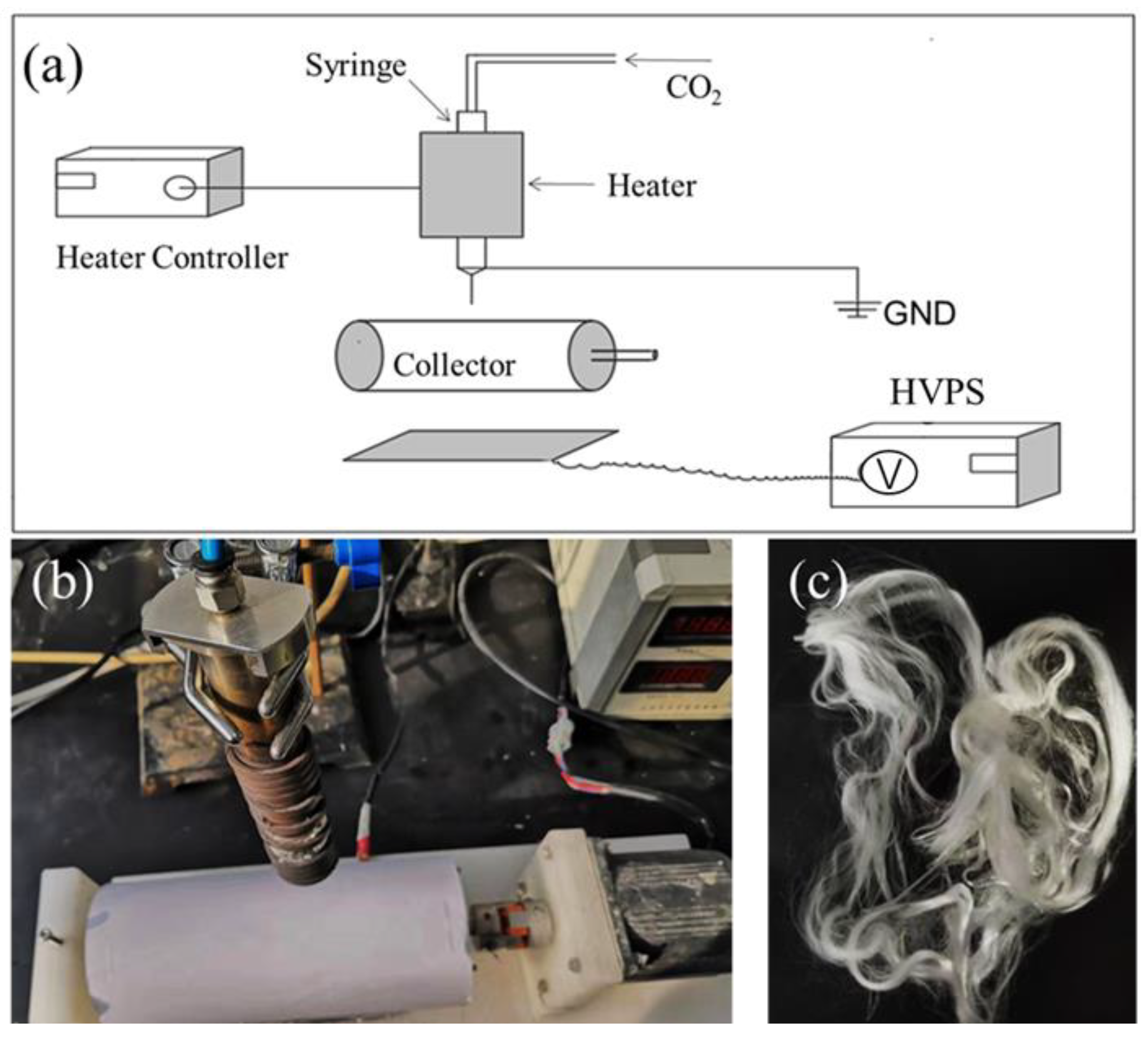 Polymers 12 00606 g001