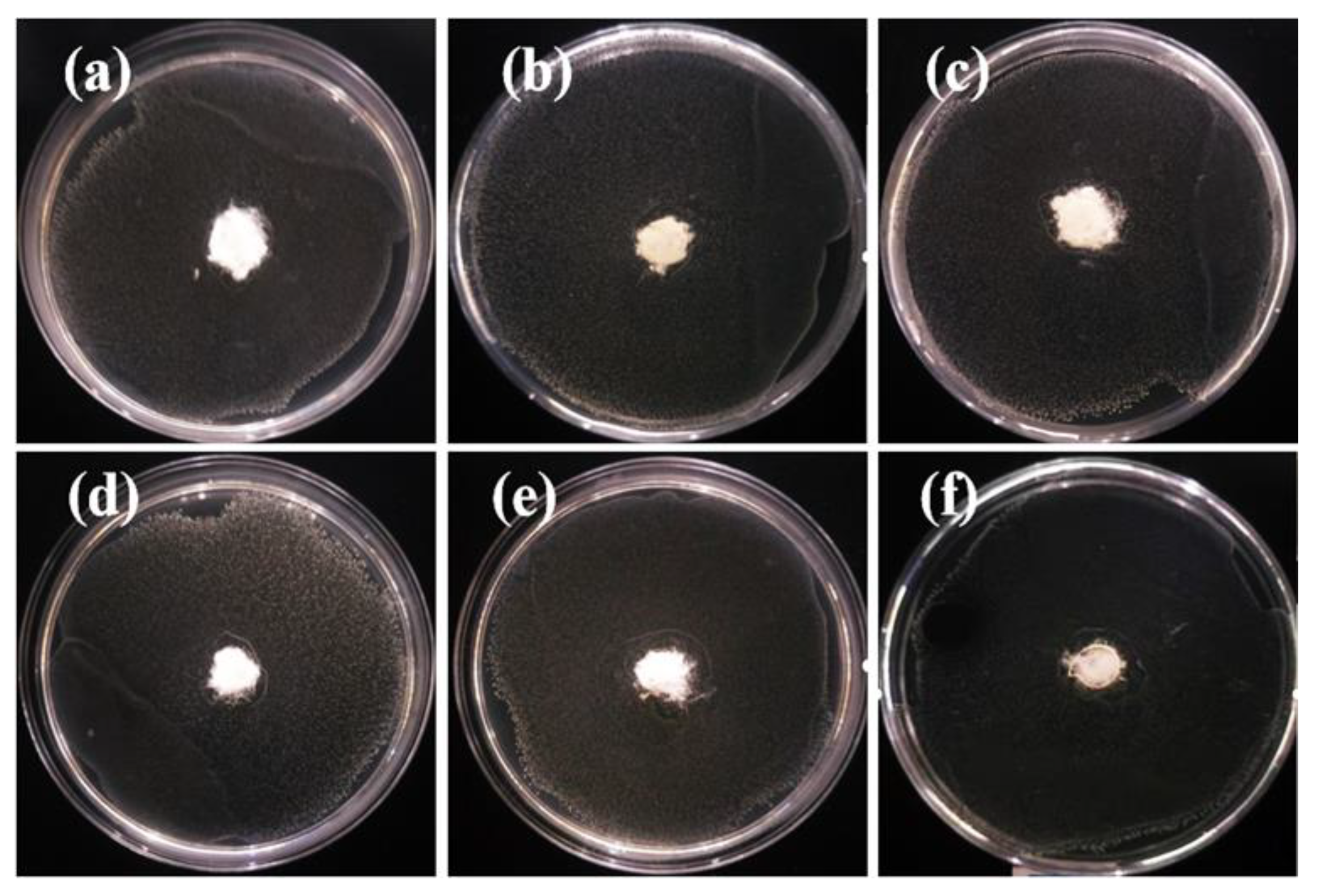 Polymers 12 00606 g009