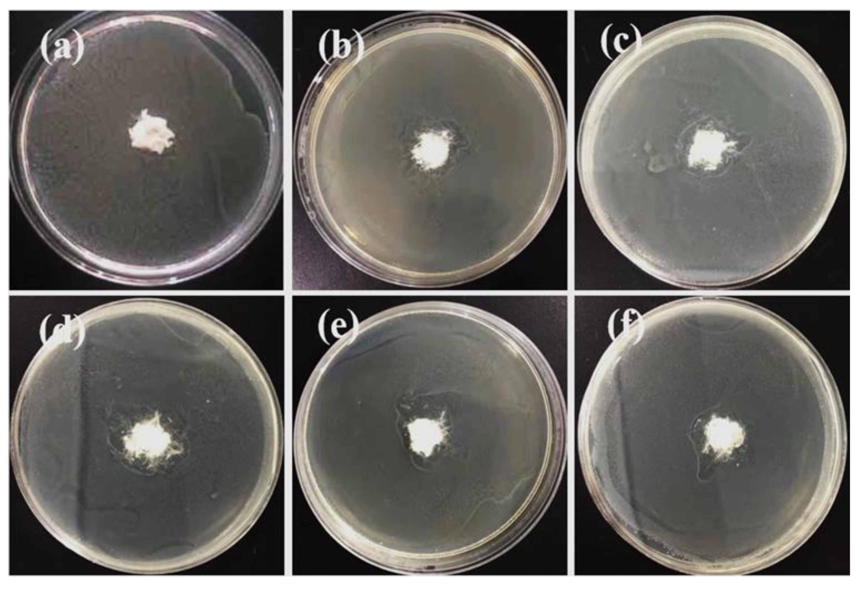Polymers 12 00606 g010