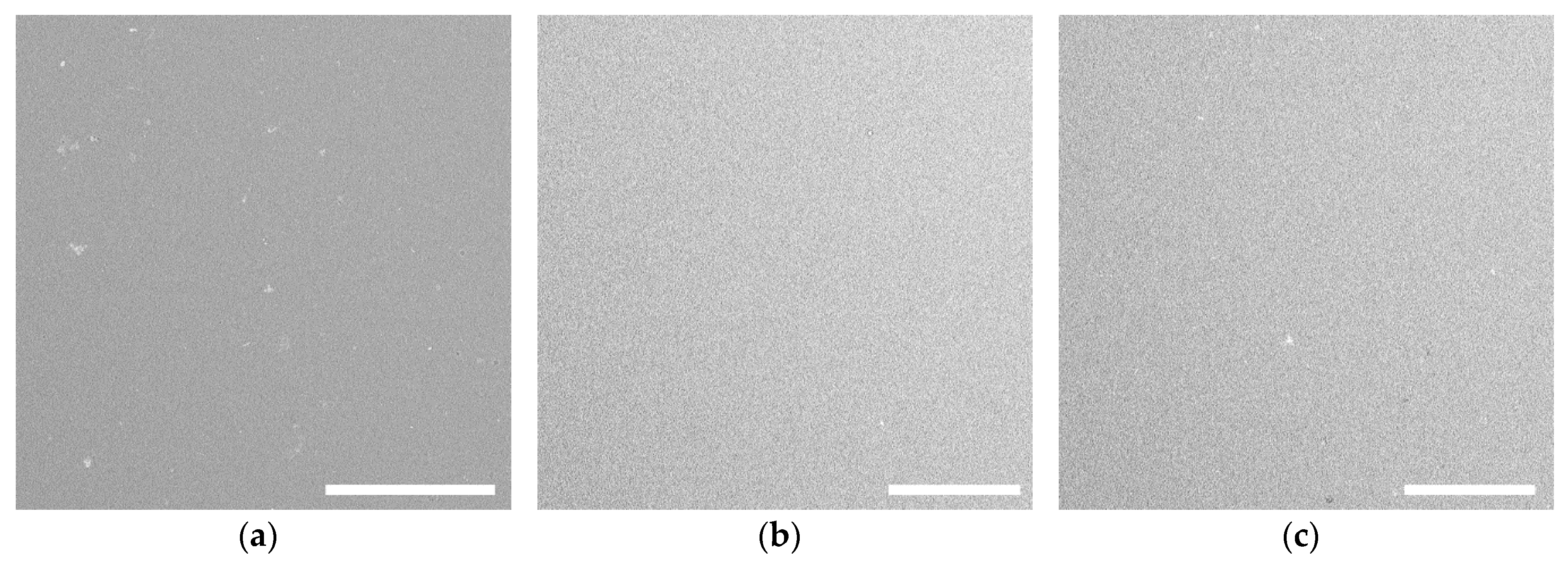 Polymers 12 00611 g003