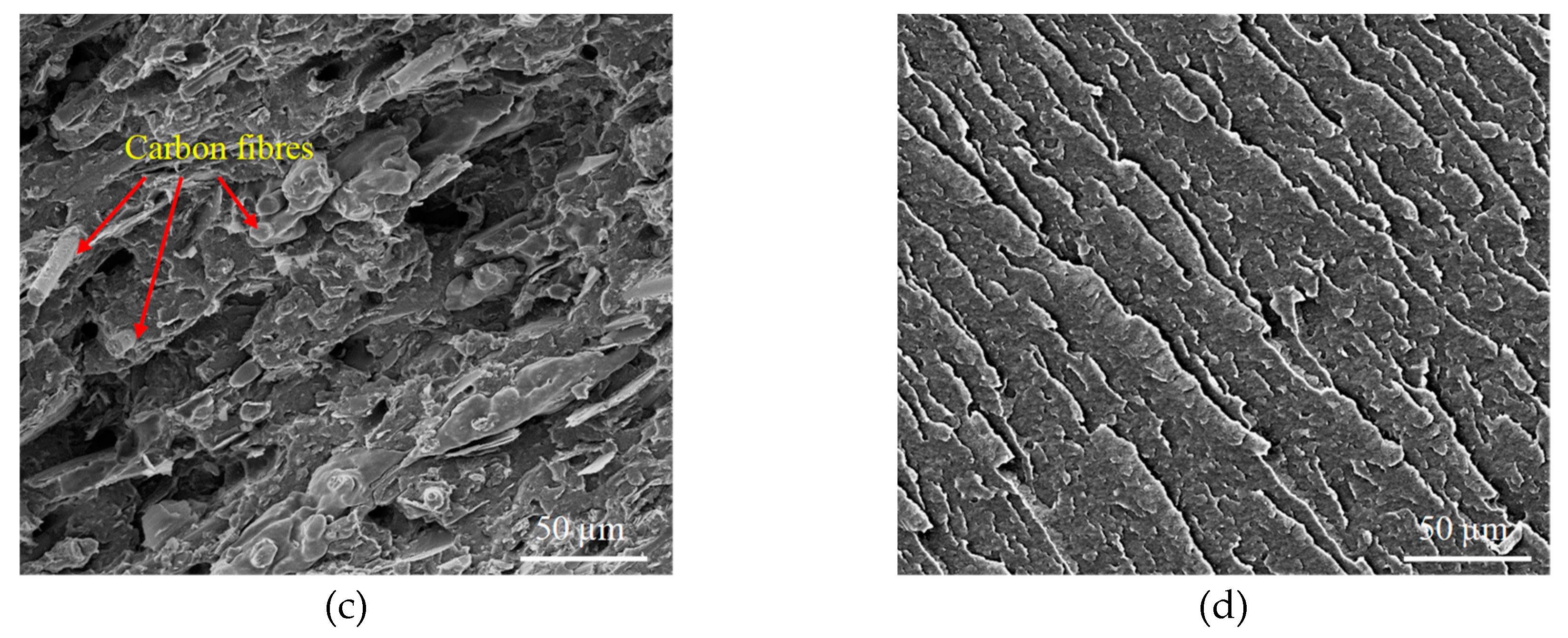 Polymers 12 00665 g001b Polymers 12 00665 g001b