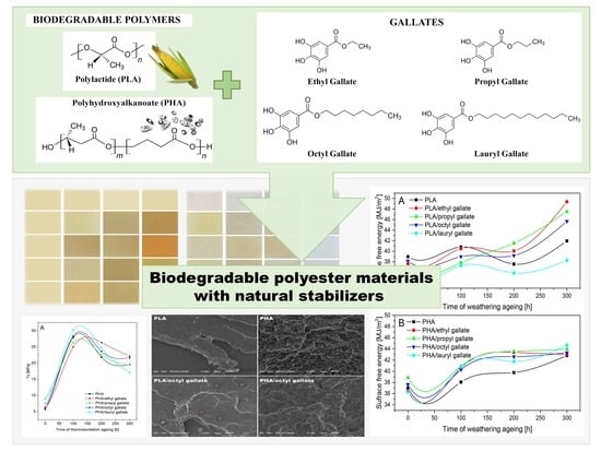 Polymers Free Full Text Biodegradable Polyester Materials Containing Gallates