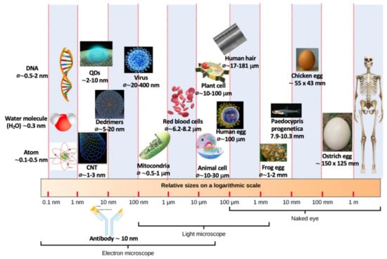 Frontiers  Research Progress on the Corrosive Environment Large