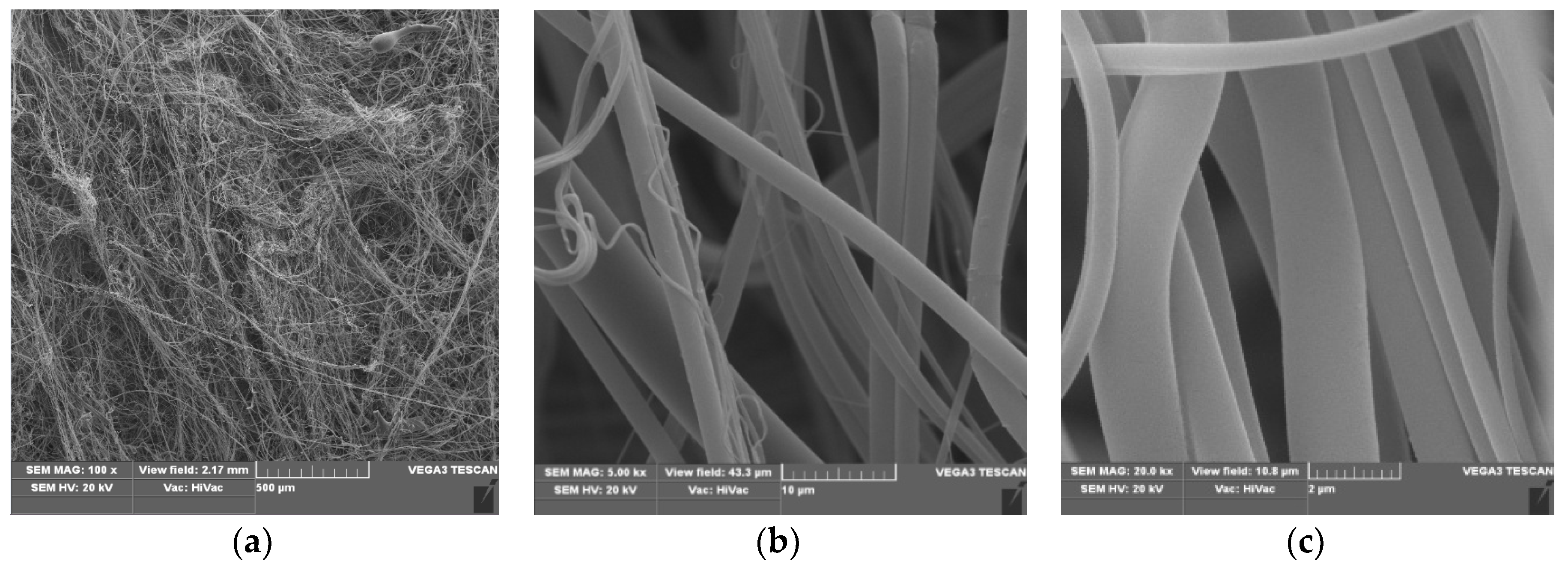 Polymers 12 00768 g002