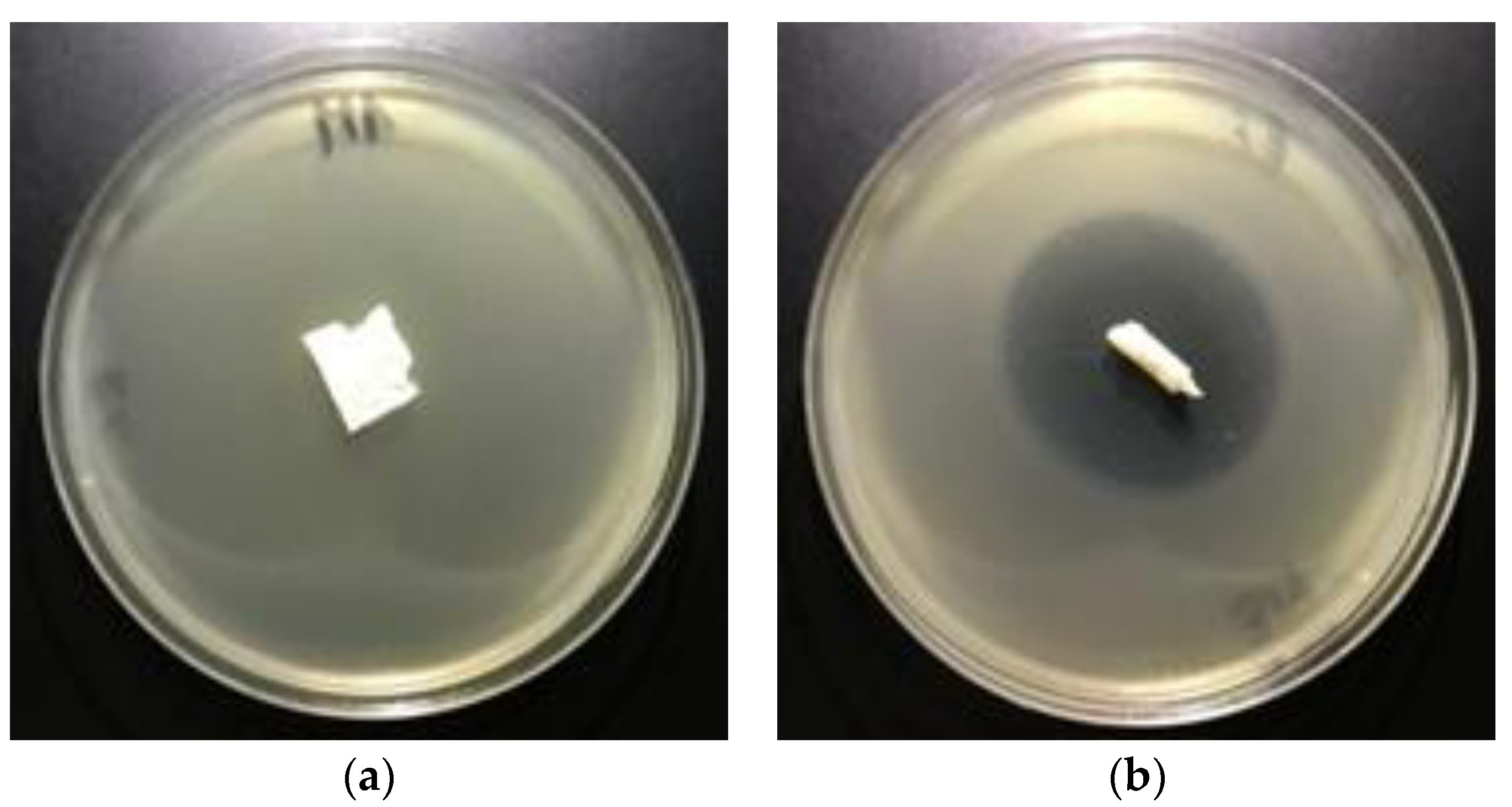 Polymers 12 00768 g008a