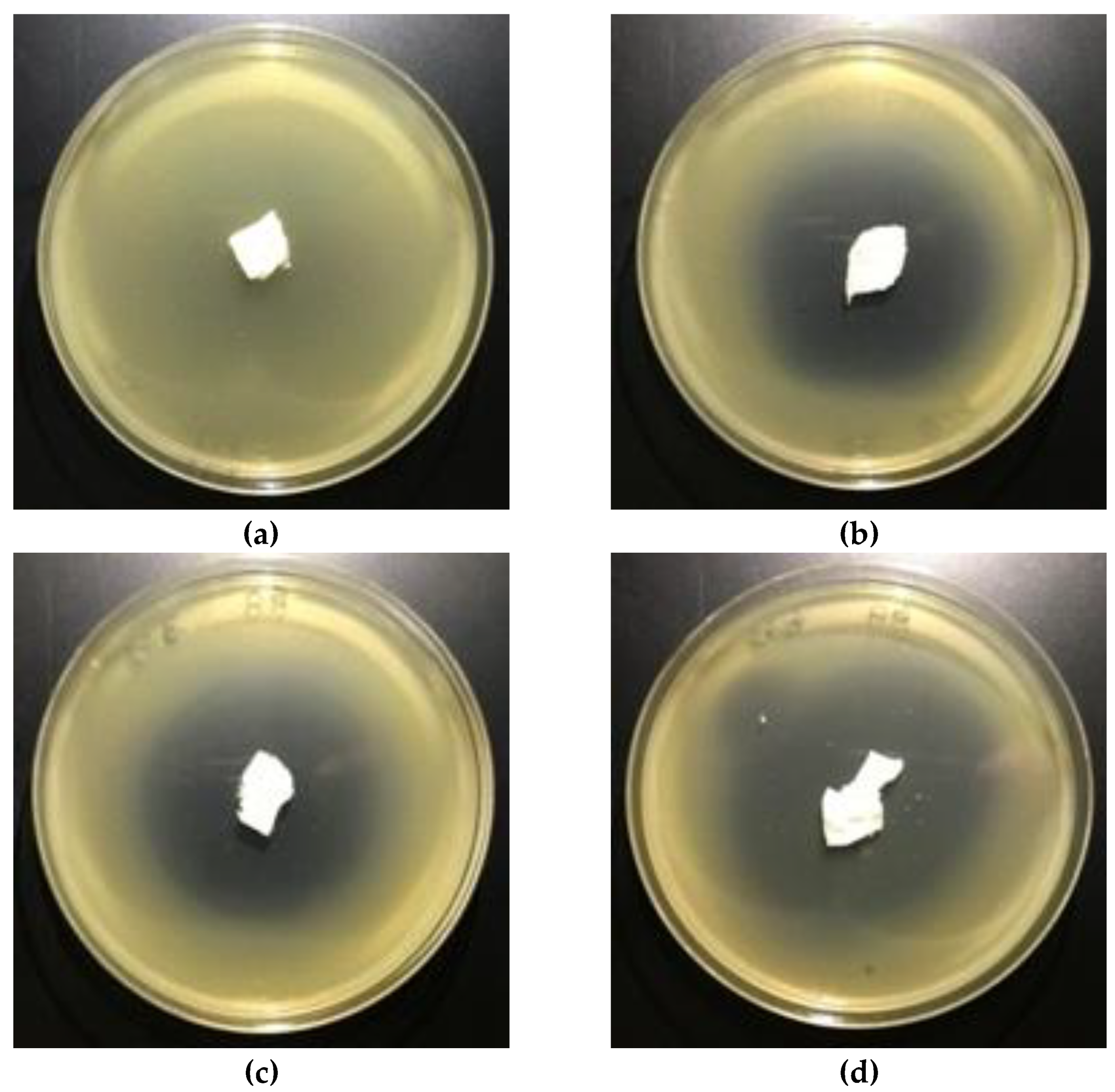 Polymers 12 00768 g009