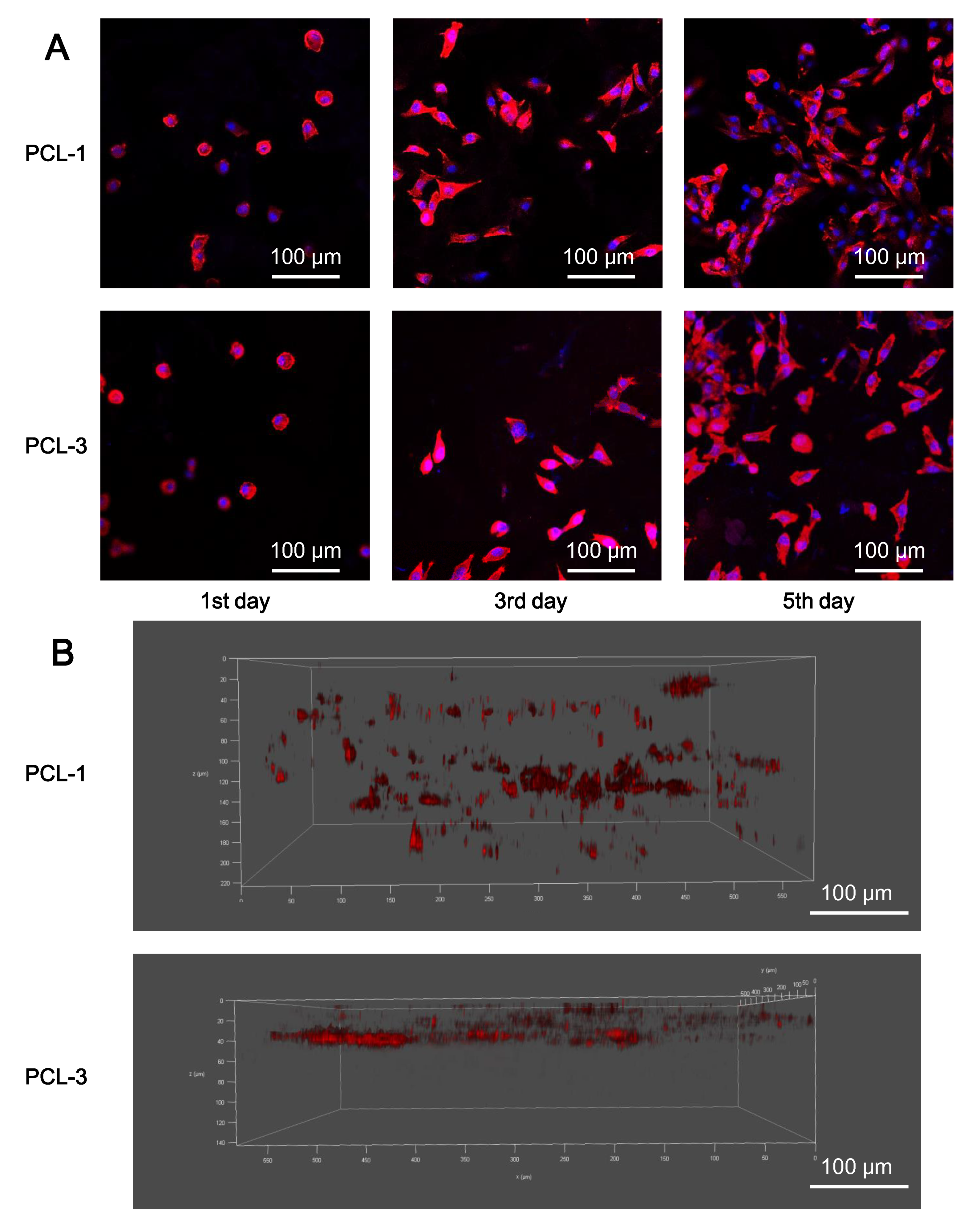 Polymers 12 00780 g007
