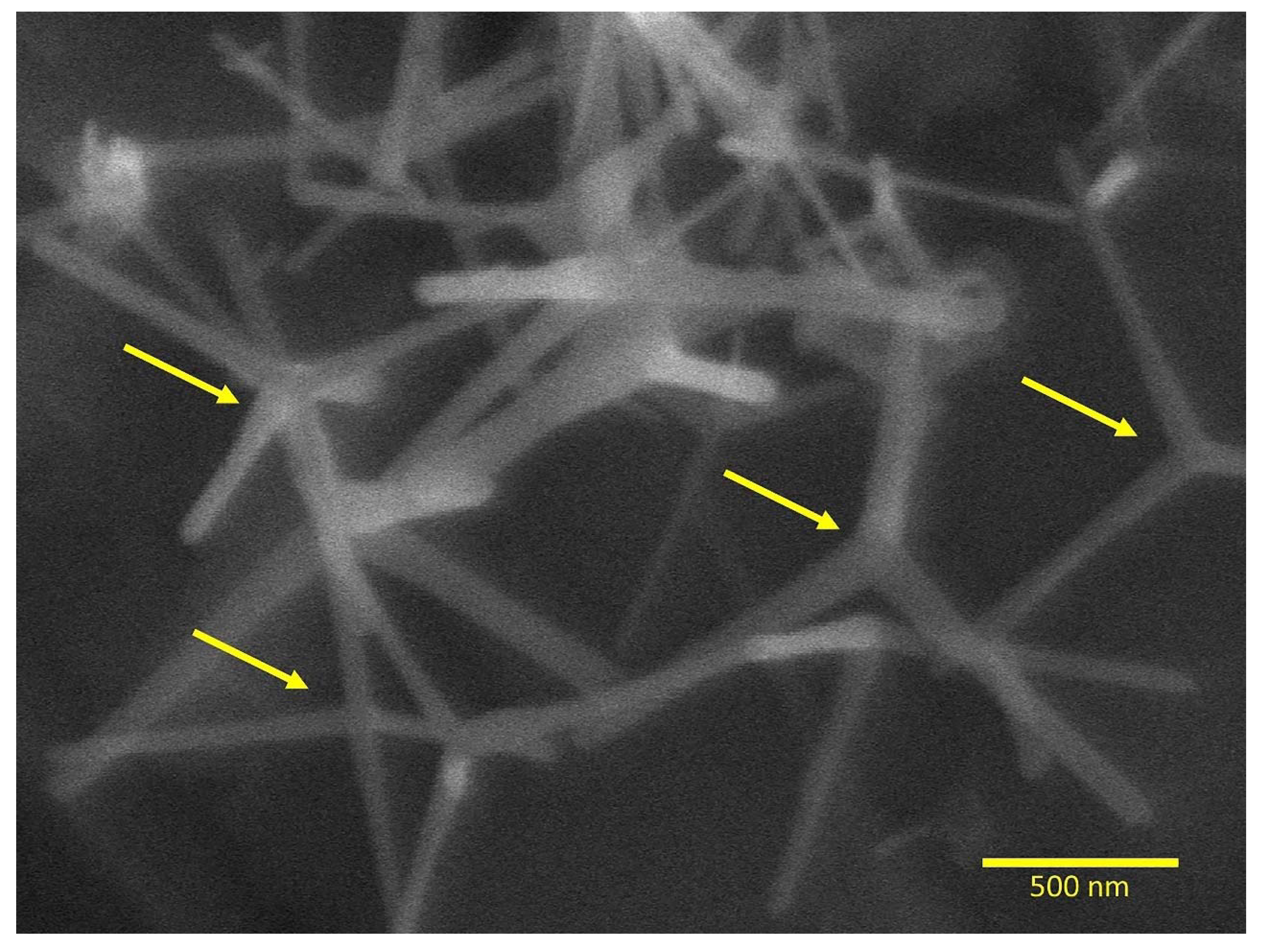 Polymers 12 00789 g002 Polymers 12 00789 g002