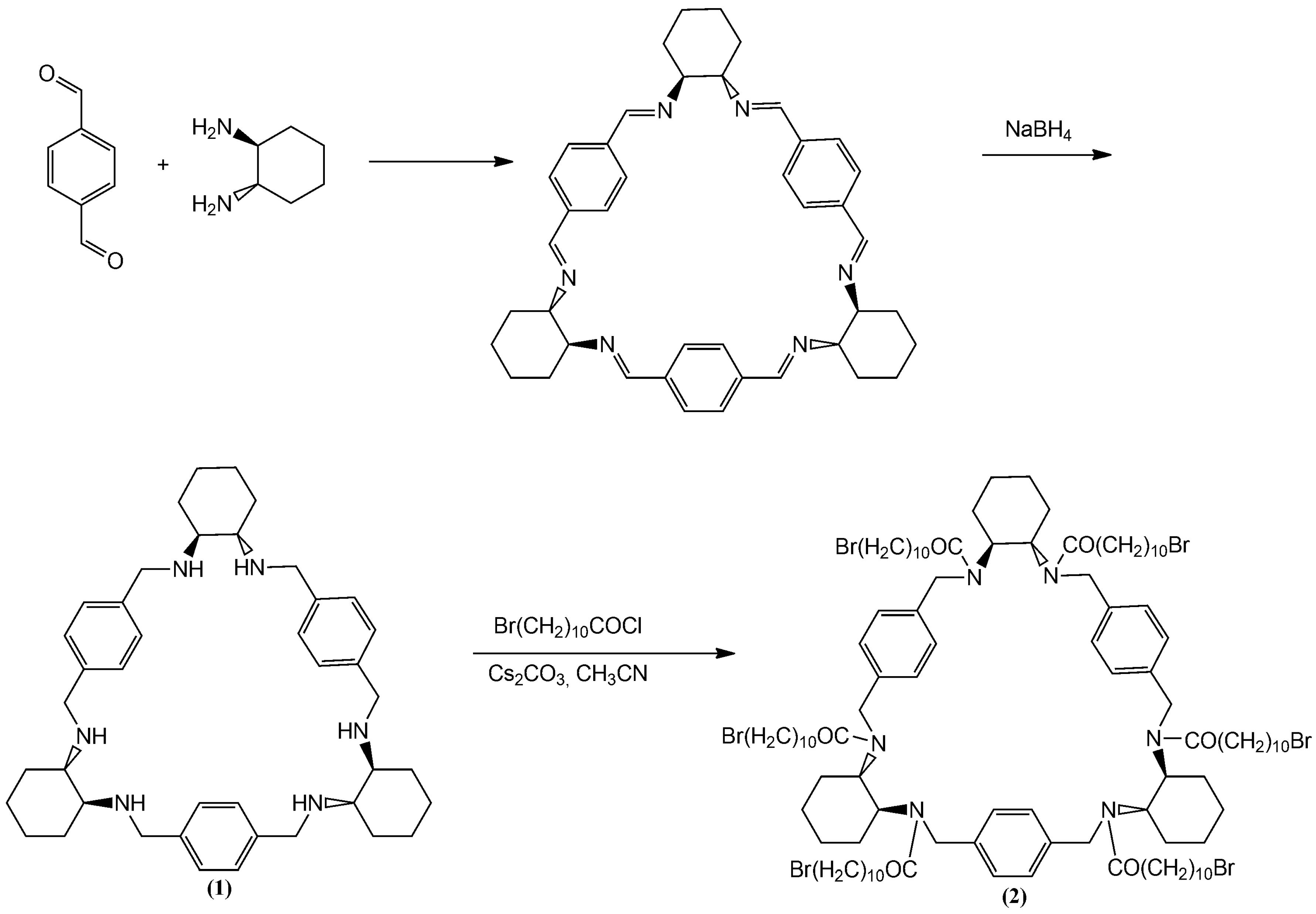 Polymers 12 00800 g004