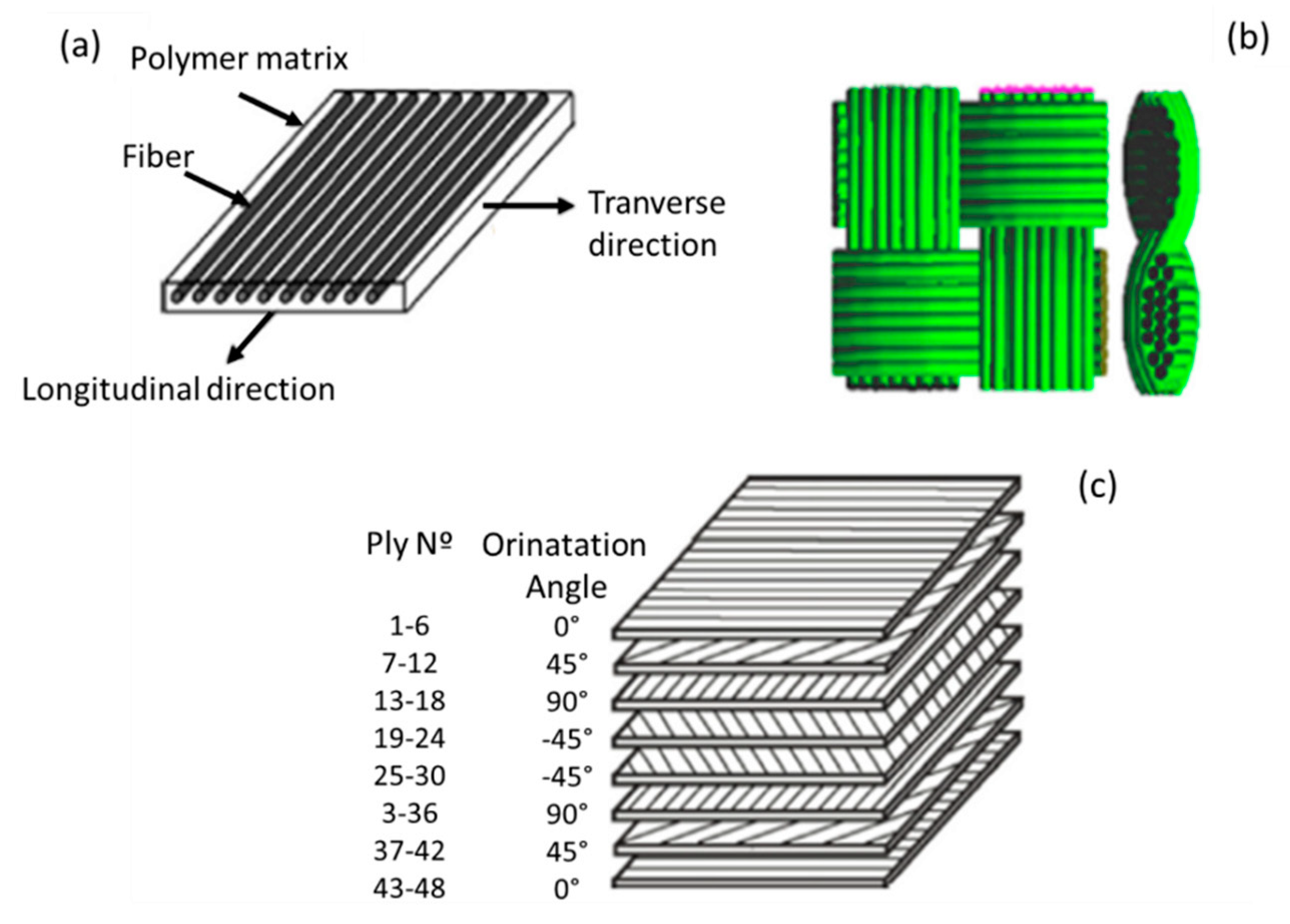 Polymers 12 00818 g001