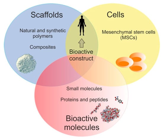 Polymers Free Full Text Proteins And Peptides As Important Modifiers Of The Polymer Scaffolds For Tissue Engineering Applications A Review Html