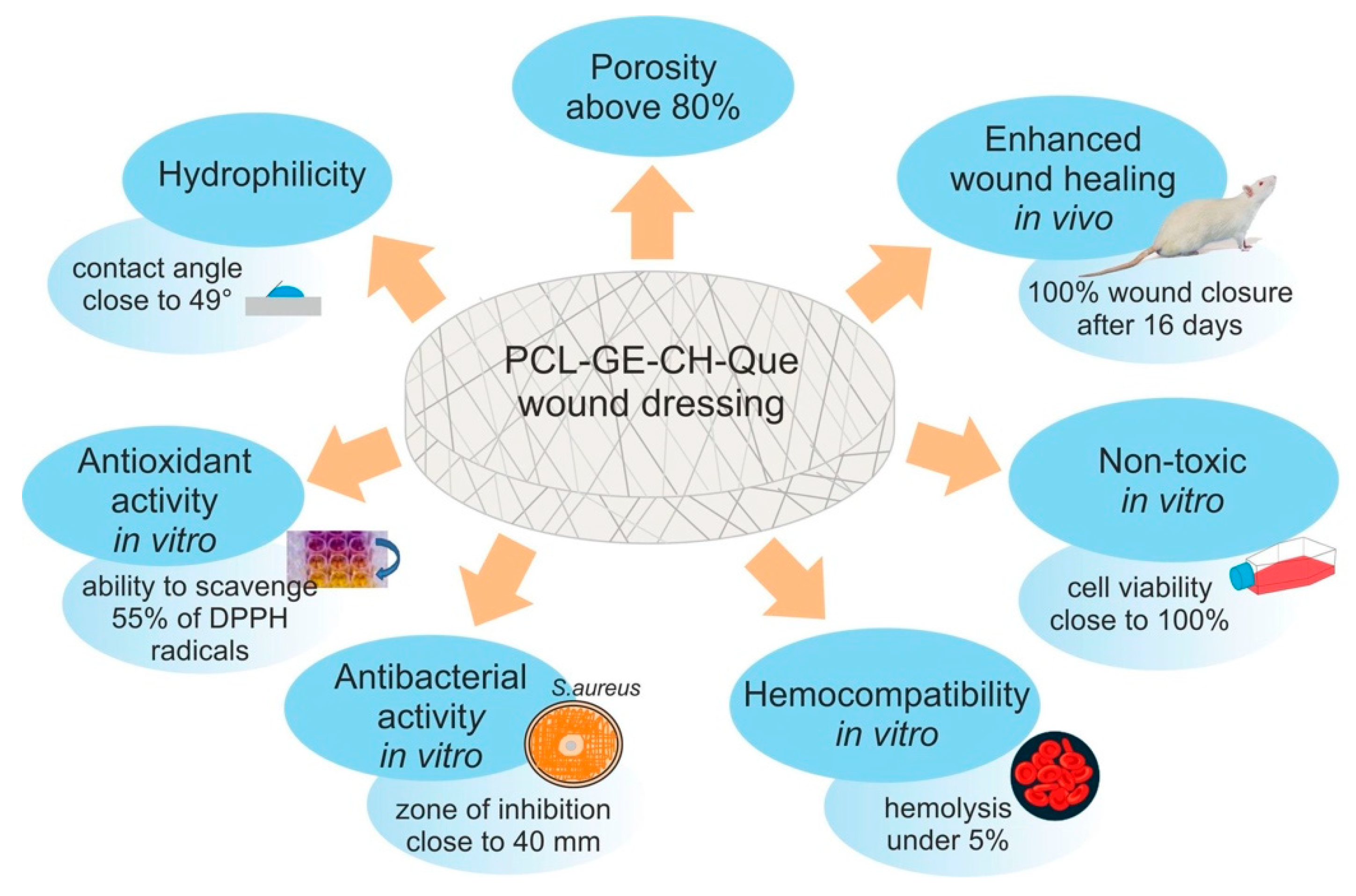 Polymers Free Full Text Proteins And Peptides As Important Modifiers Of The Polymer Scaffolds For Tissue Engineering Applications A Review Html