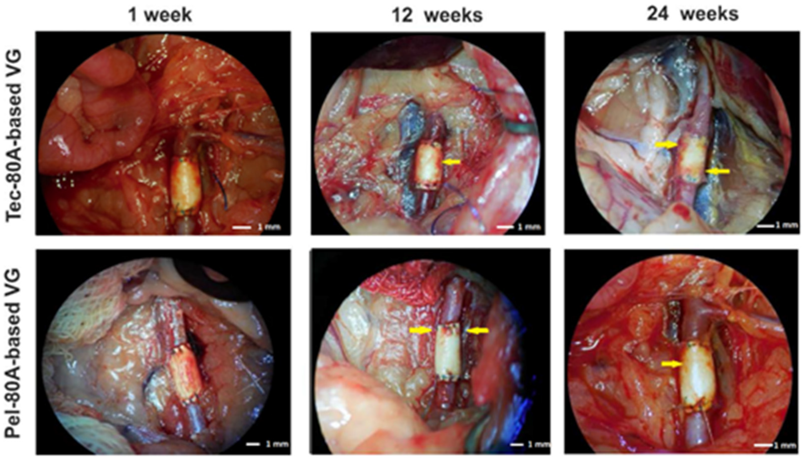 Polymers 12 00845 g001
