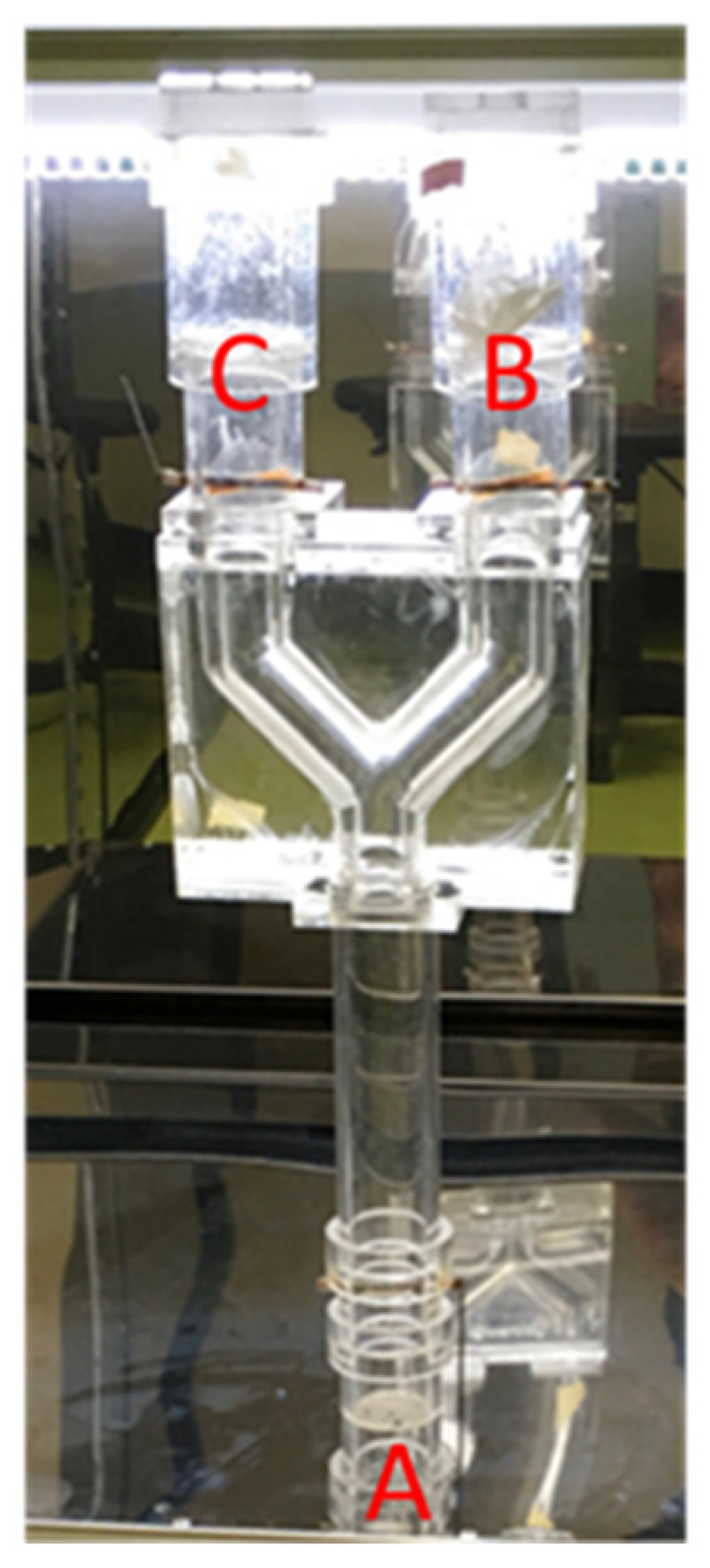 Polymers 12 00870 g001