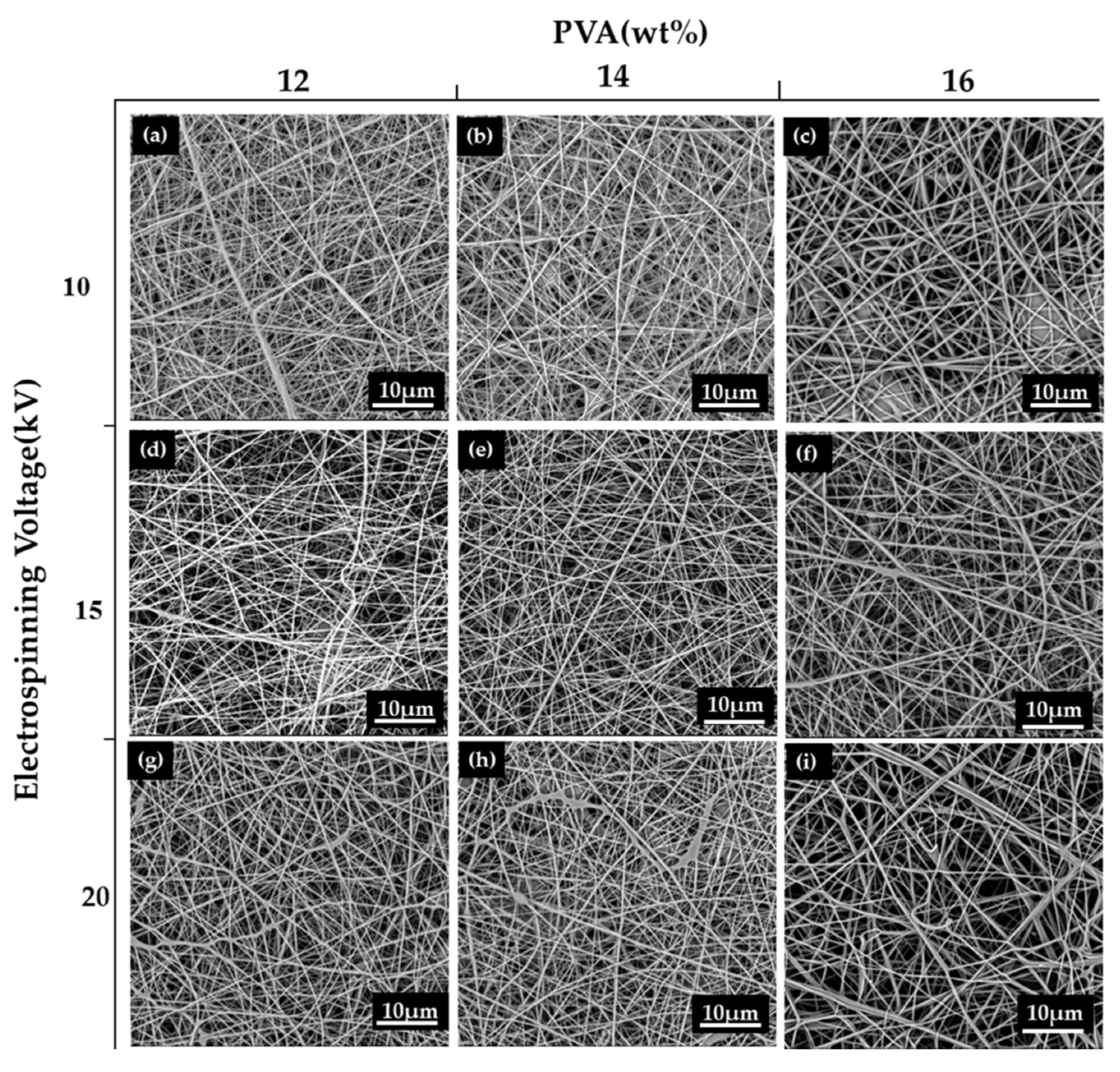 Polymers 12 00870 g002
