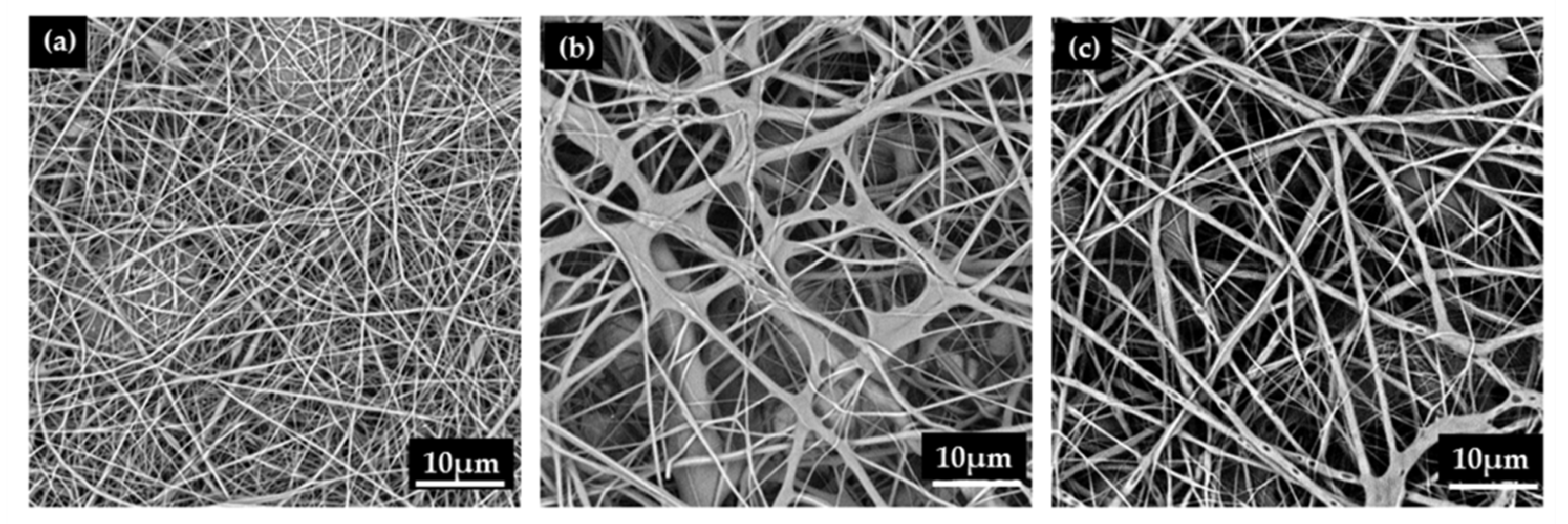 Polymers 12 00870 g004