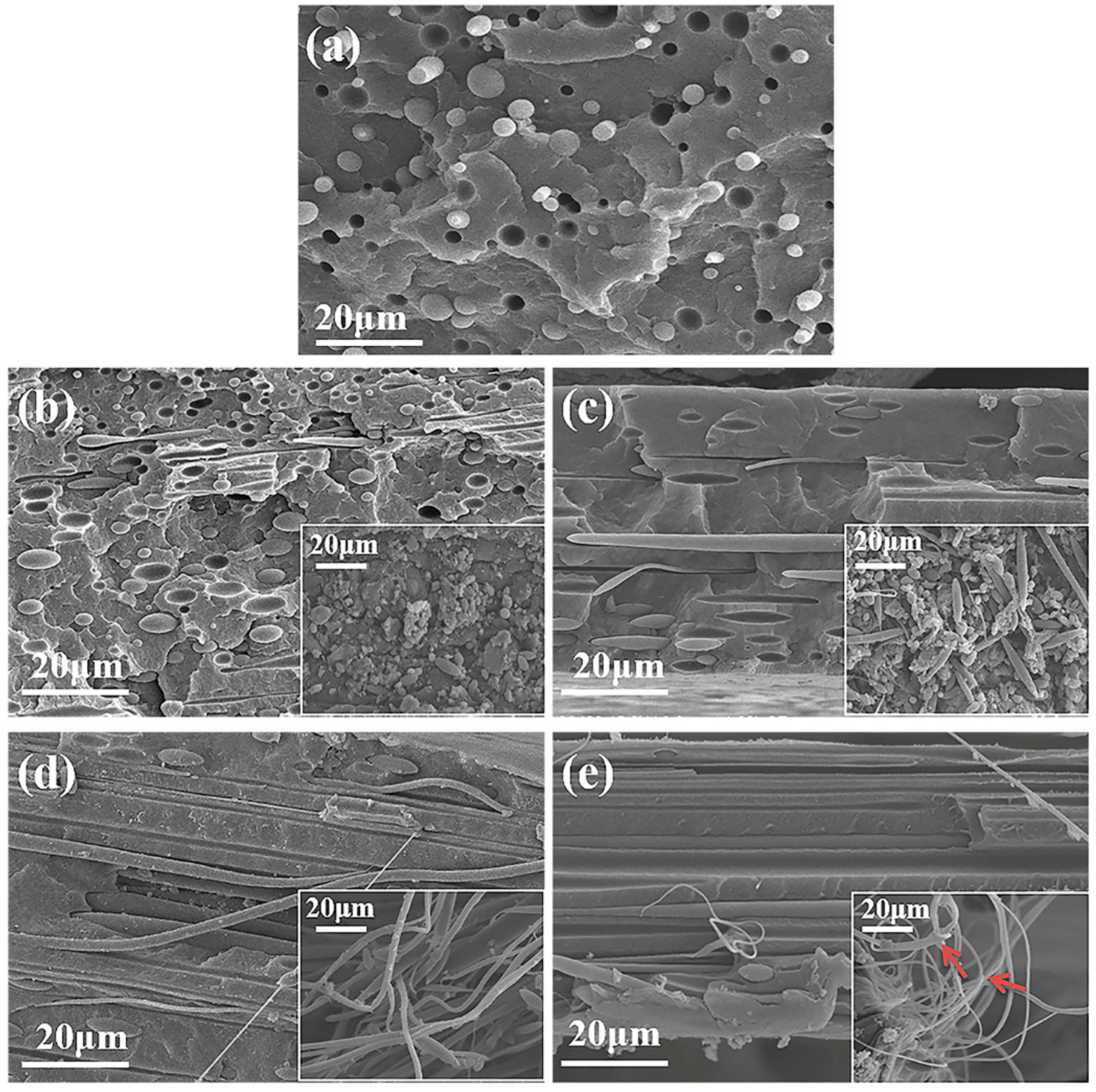 Polymers 12 00878 g001