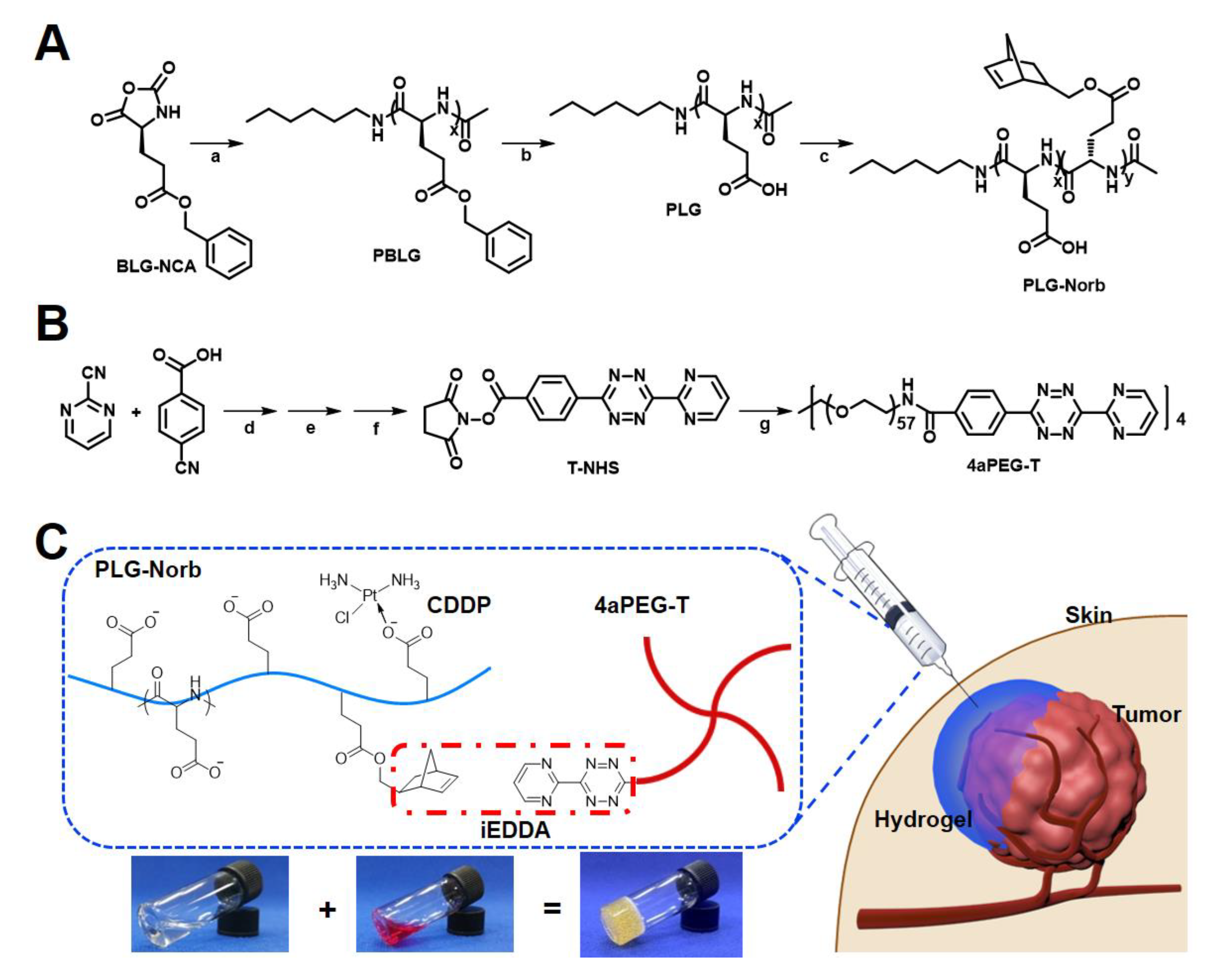 Polymers Free Full Text Injectable Click Polypeptide Hydrogels Via Tetrazine Norbornene Chemistry For Localized Cisplatin Release