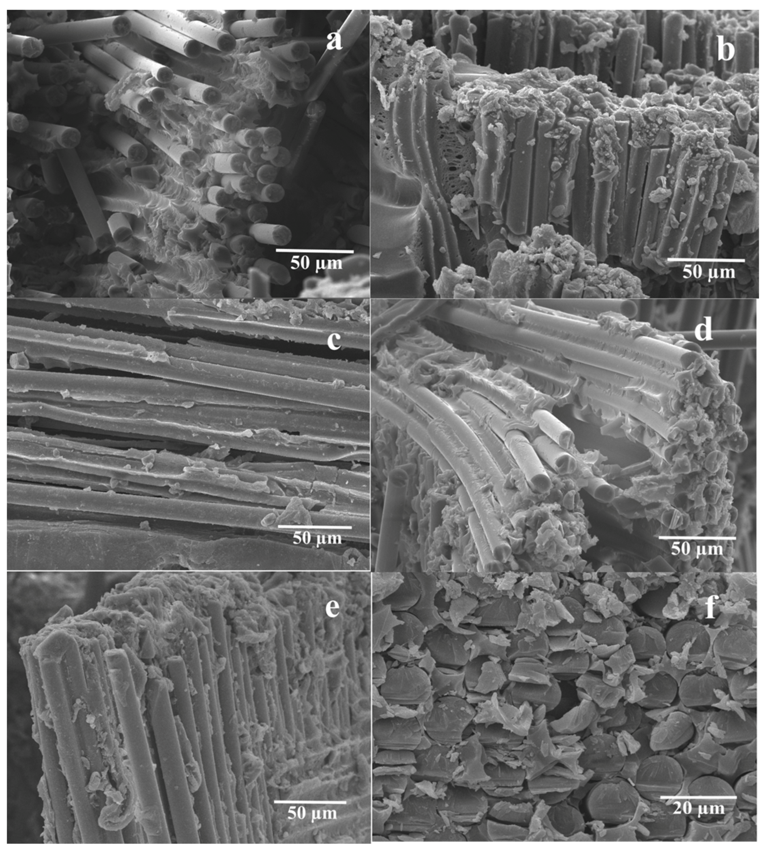 Polymers 12 00902 g008 Polymers 12 00902 g008
