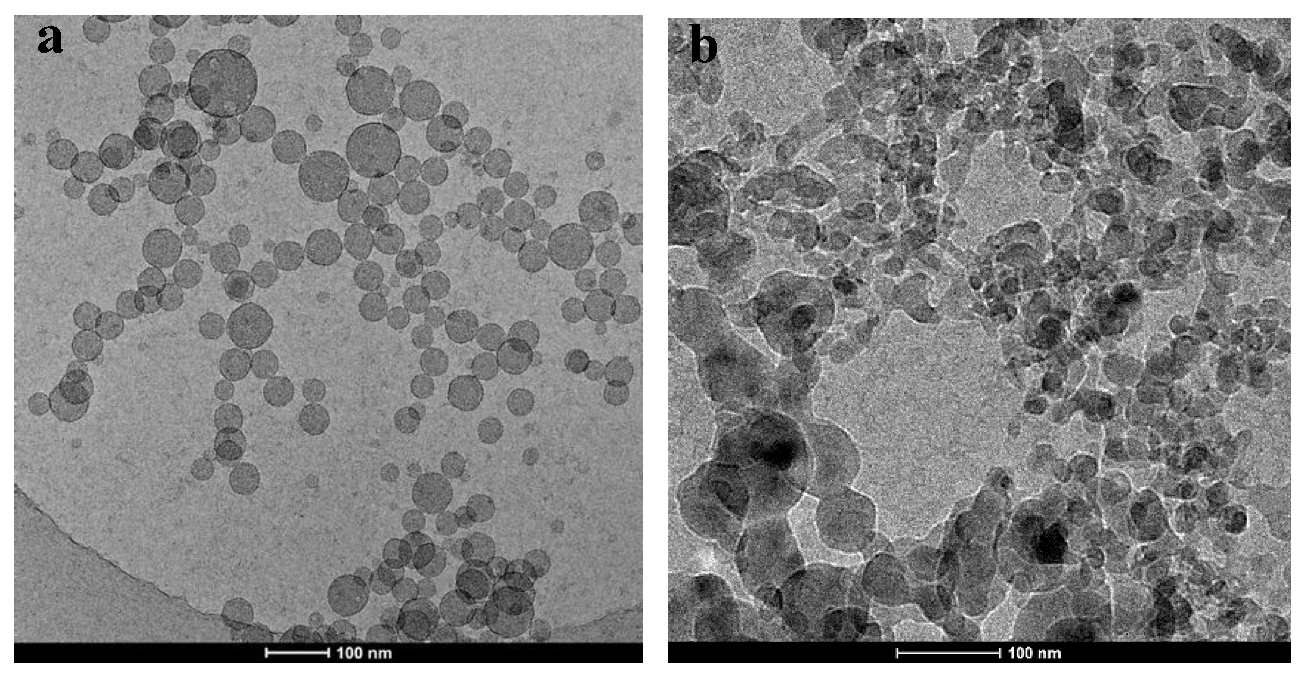 Polymers 12 00916 g003 Polymers 12 00916 g003