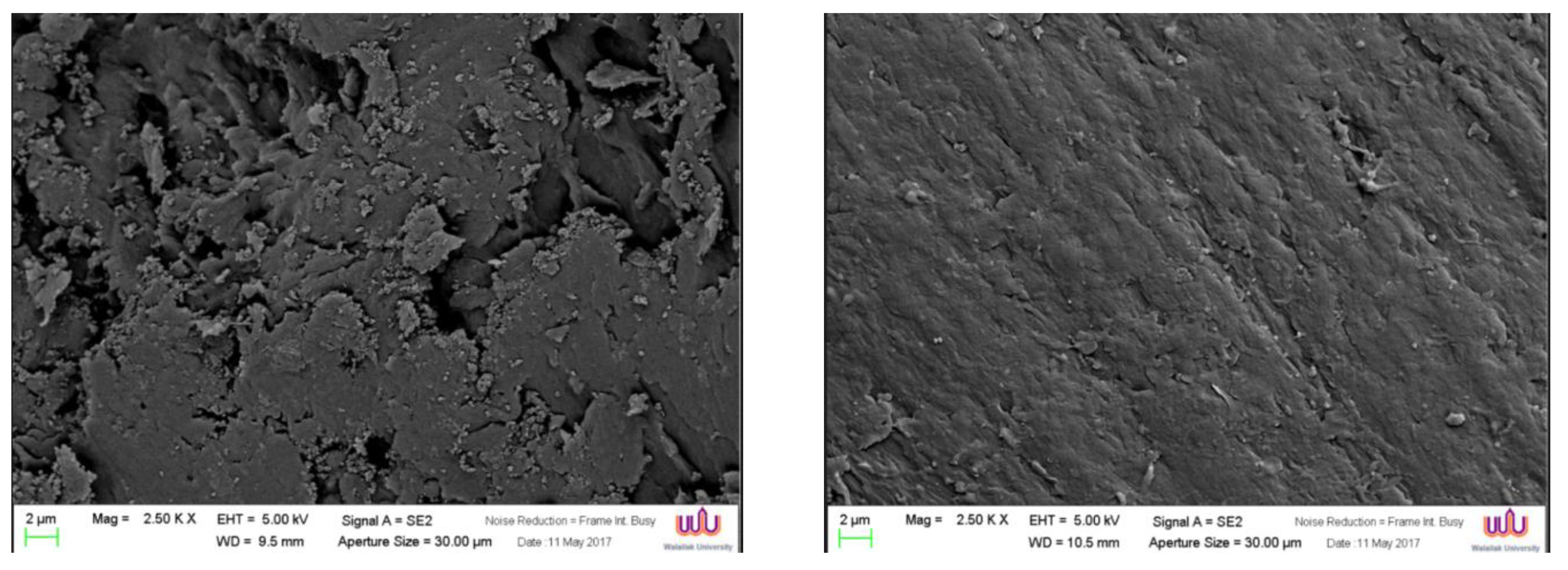 Polymers 12 00917 g008 Polymers 12 00917 g008