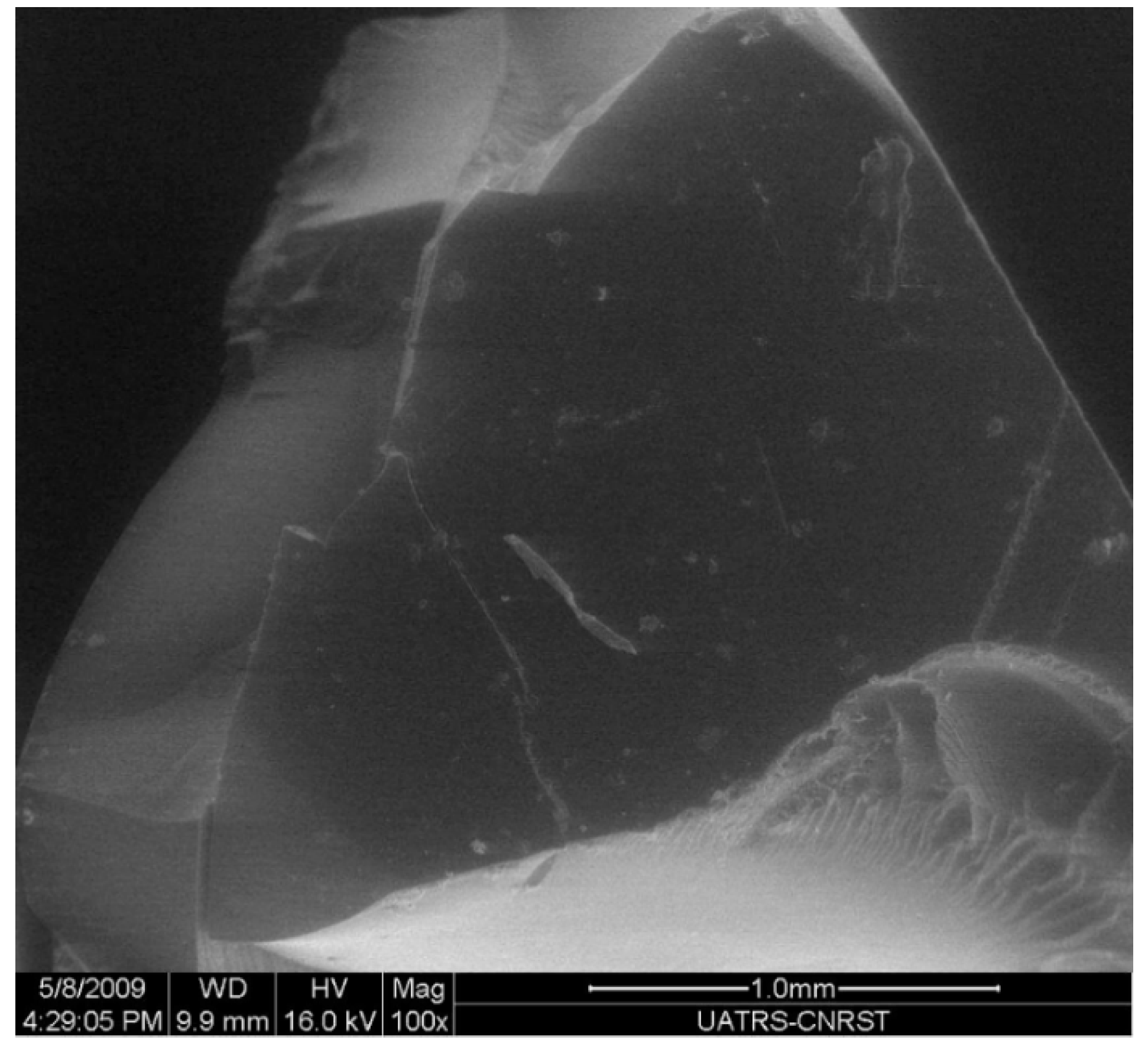 Polymers 12 00921 g004 Polymers 12 00921 g004