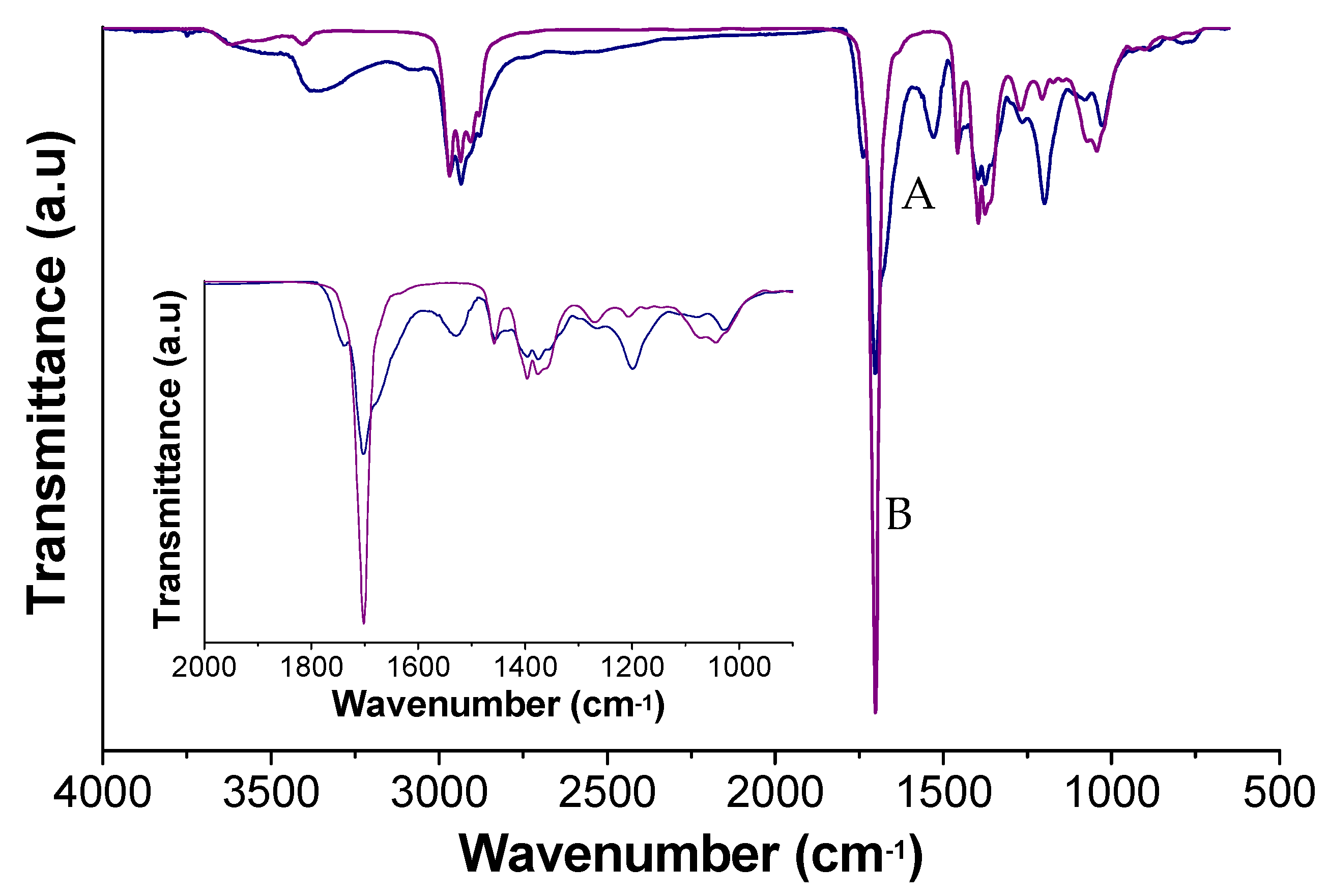 Polymers 12 00923 g003 Polymers 12 00923 g003