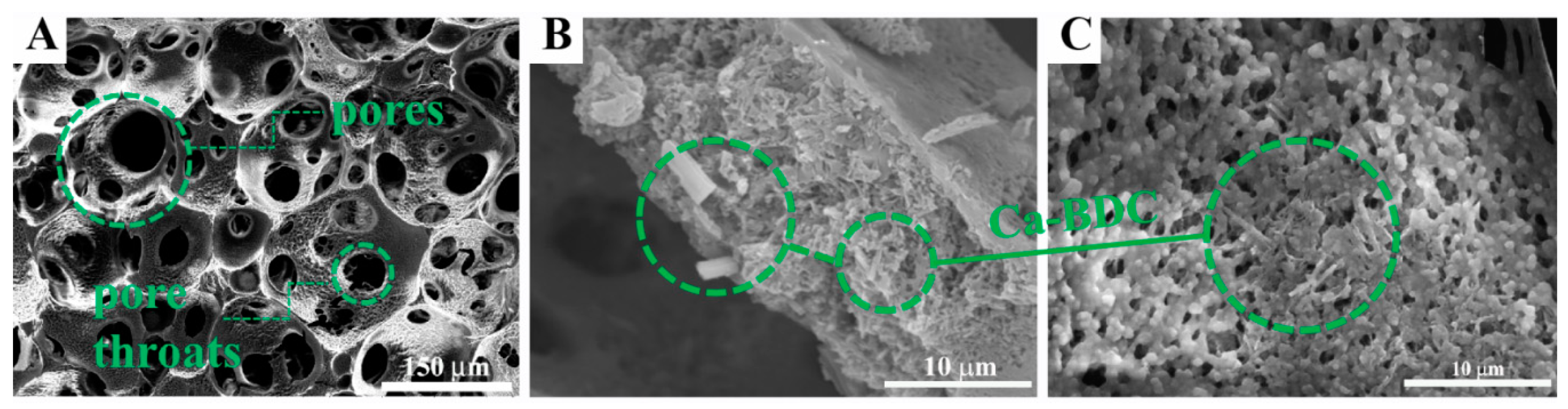 Polymers 12 00931 g002