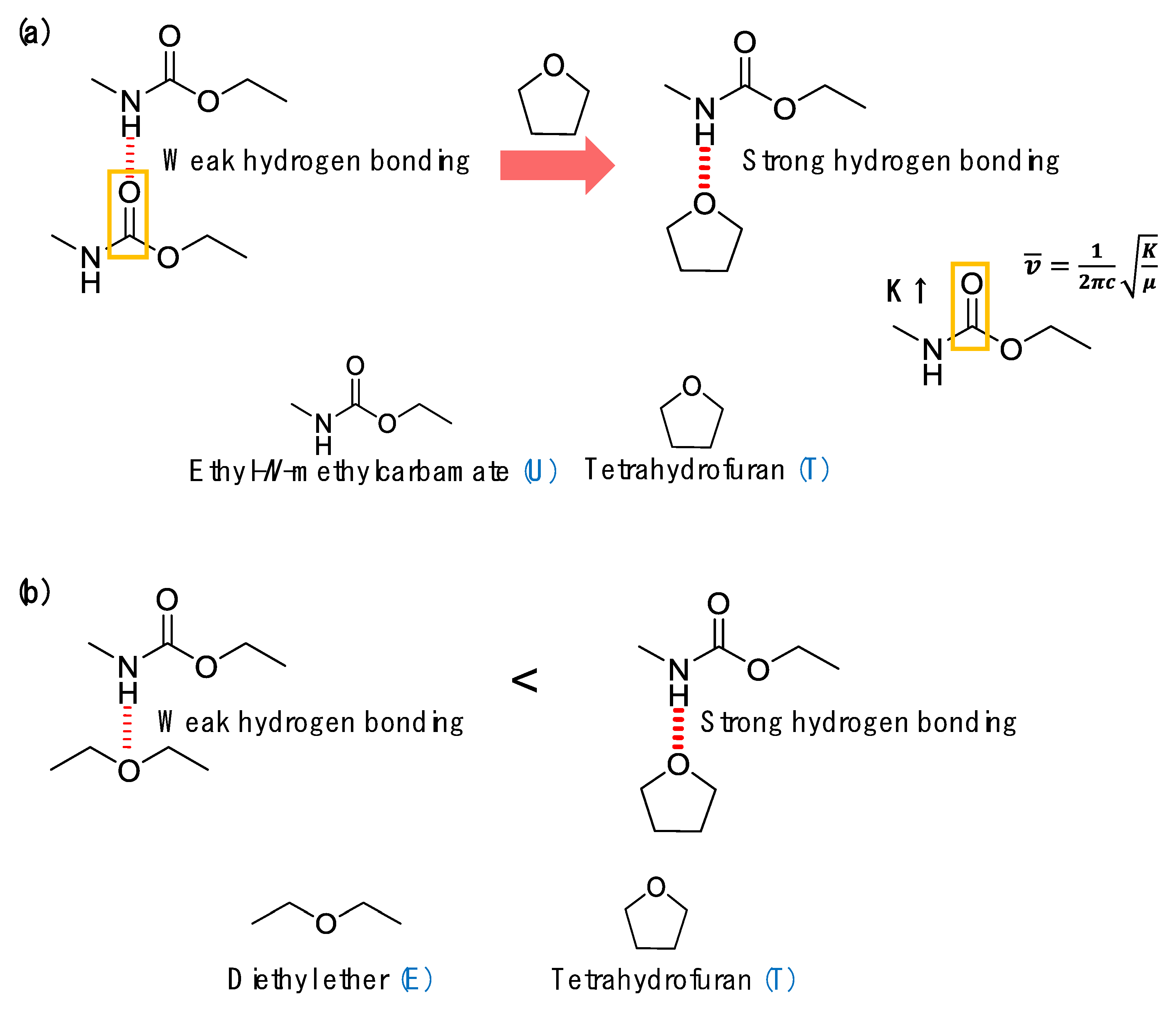 Polymers 12 00968 g004