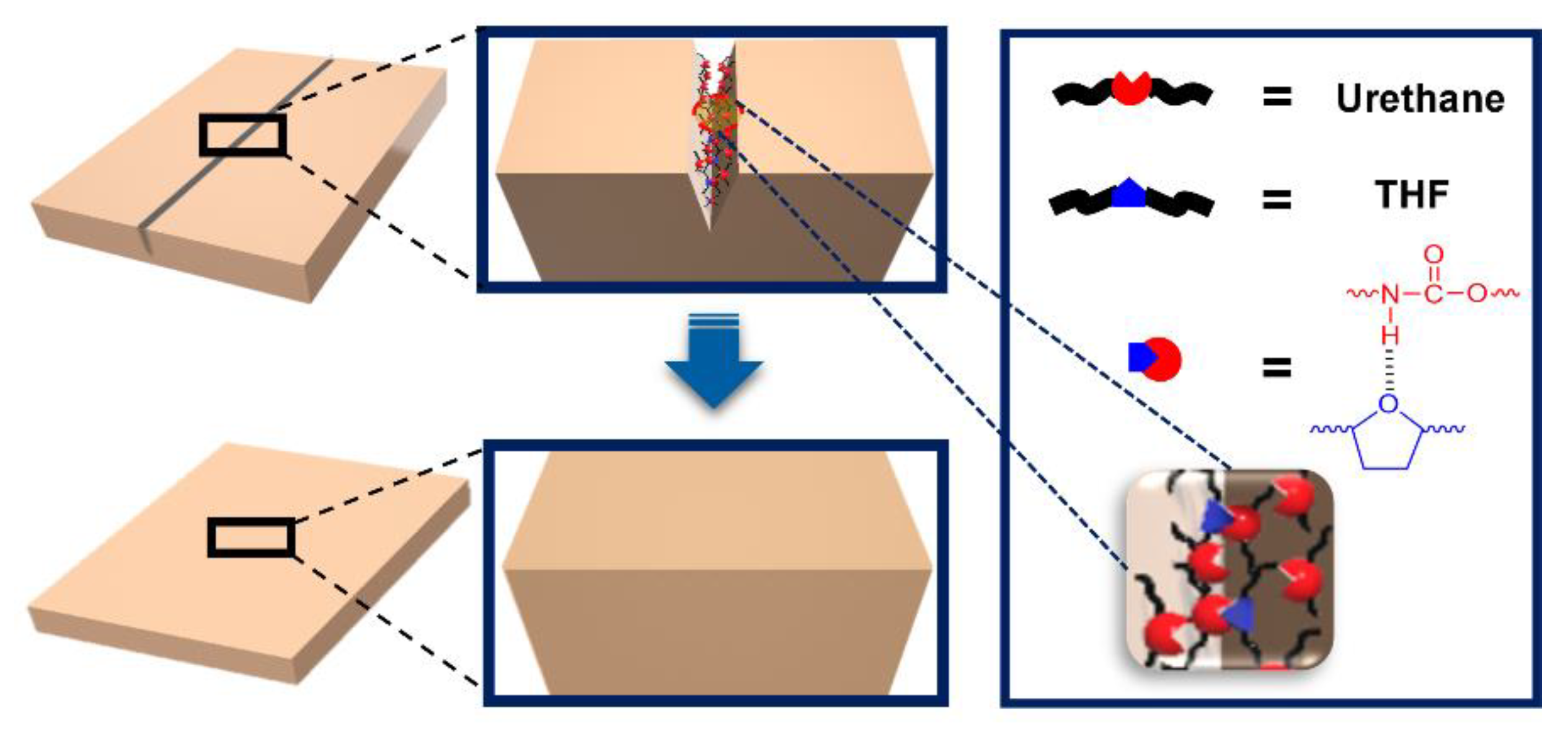 Polymers 12 00968 g006