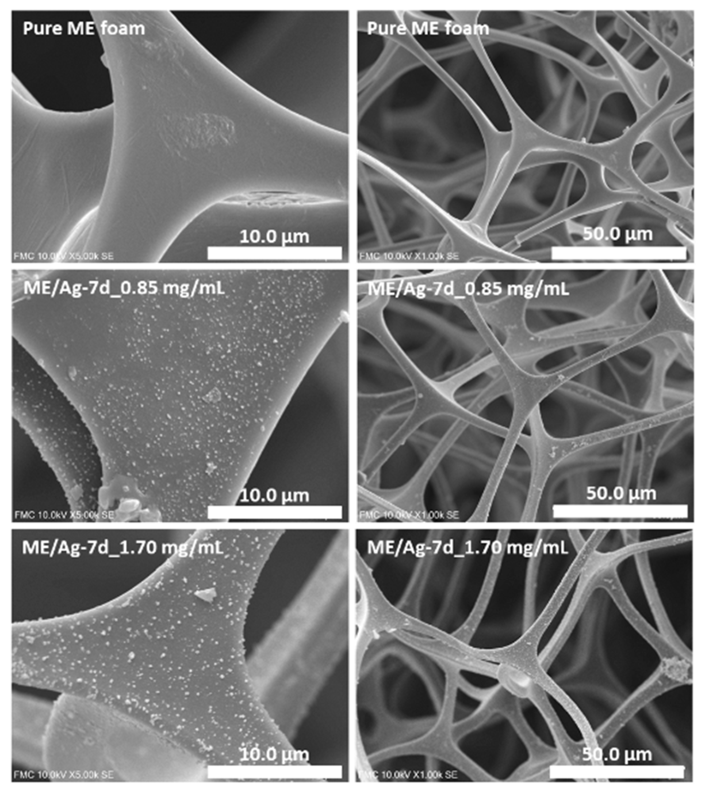 Polymers 12 00996 g001