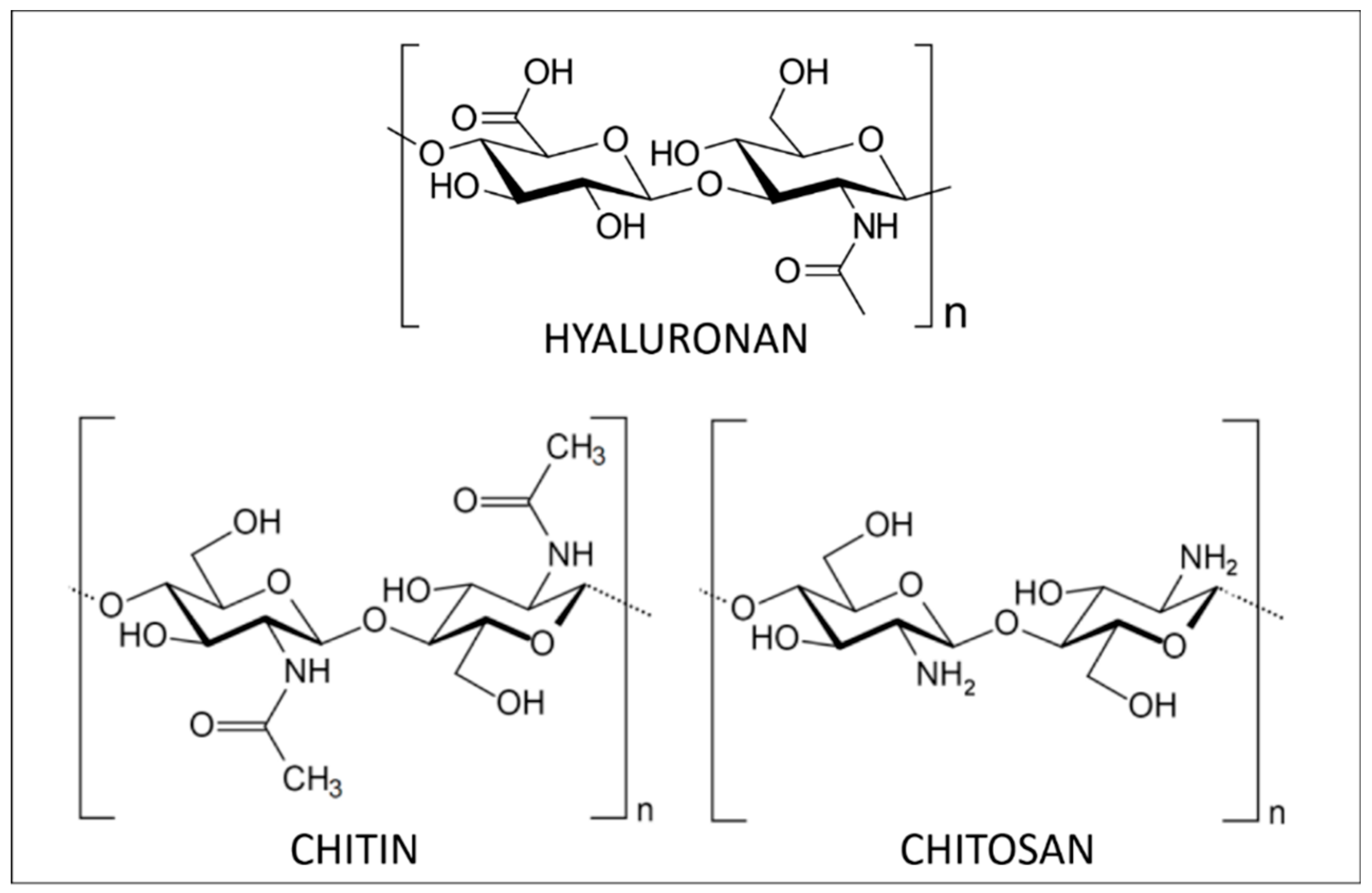Polymers 12 01002 g001